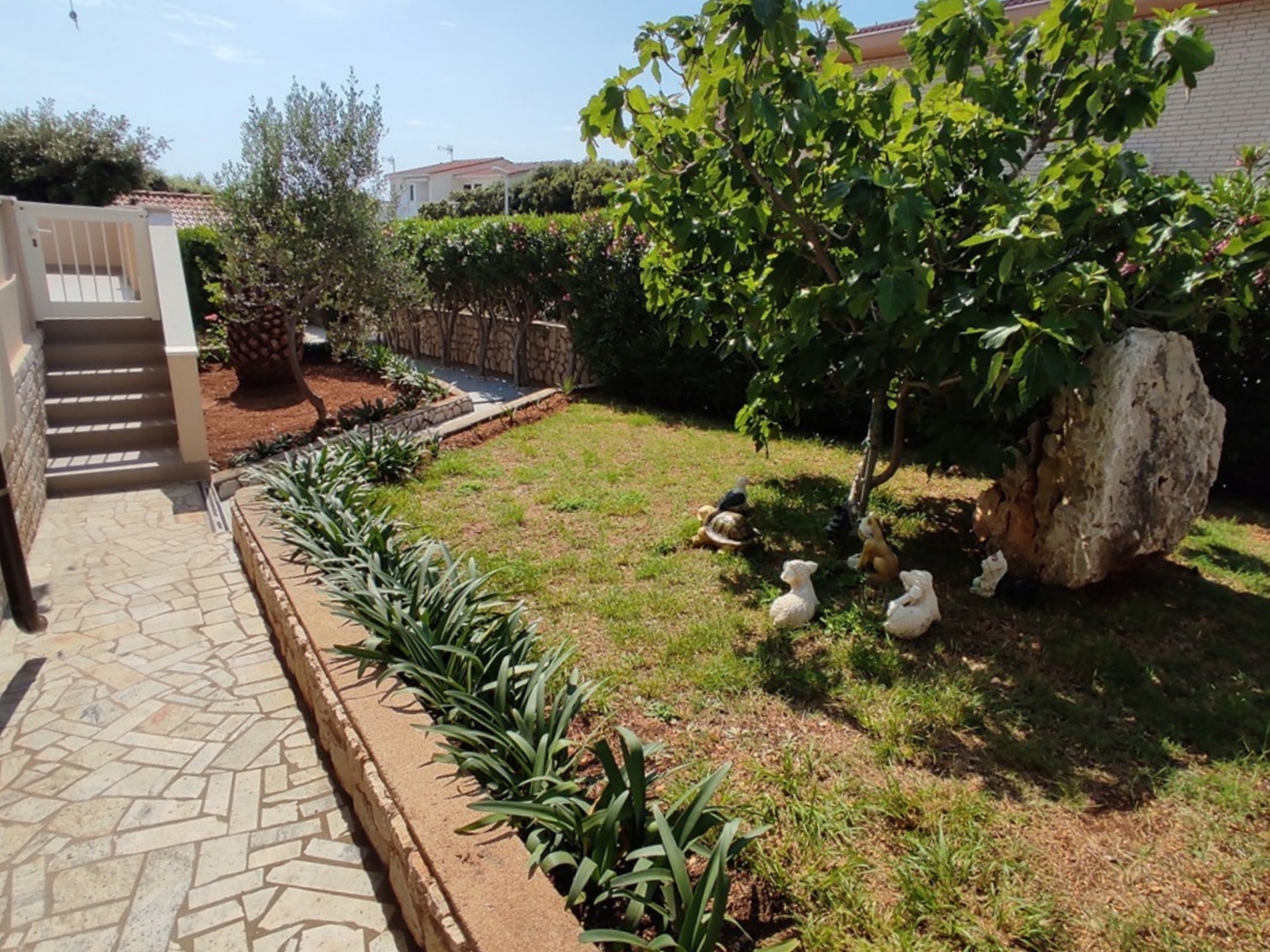 Top Pag Mandre Top Pag Mandre