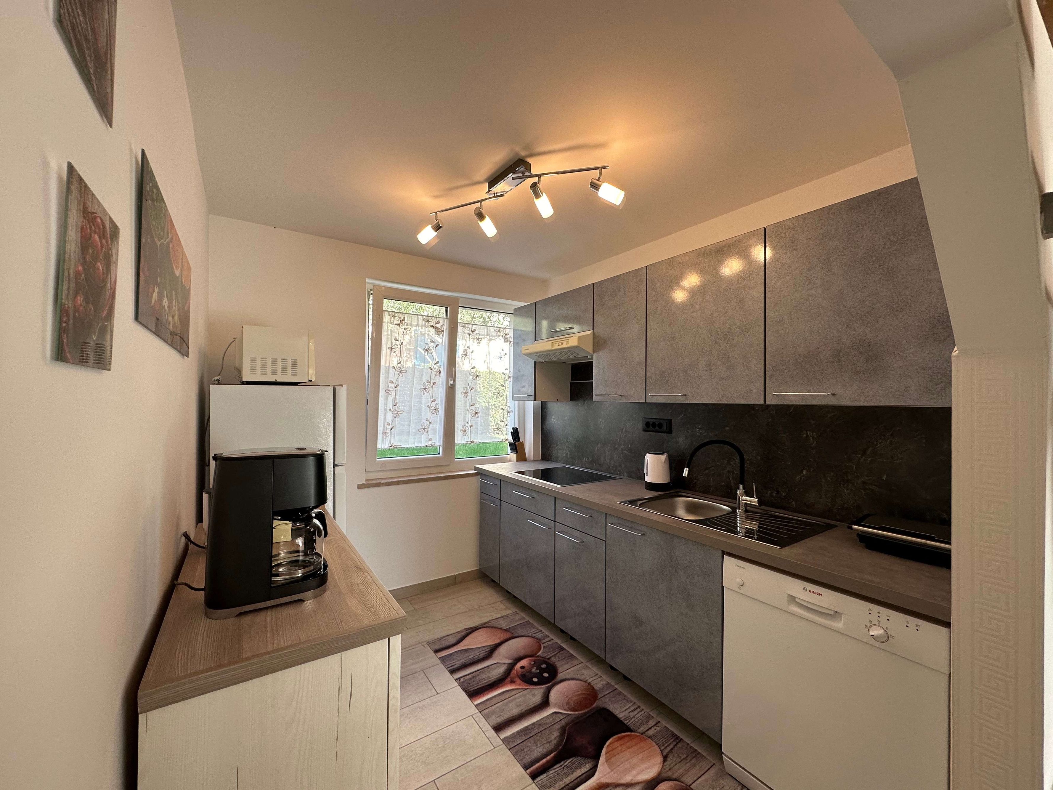 One bedroom apartment with terrace Rovinj  A-c