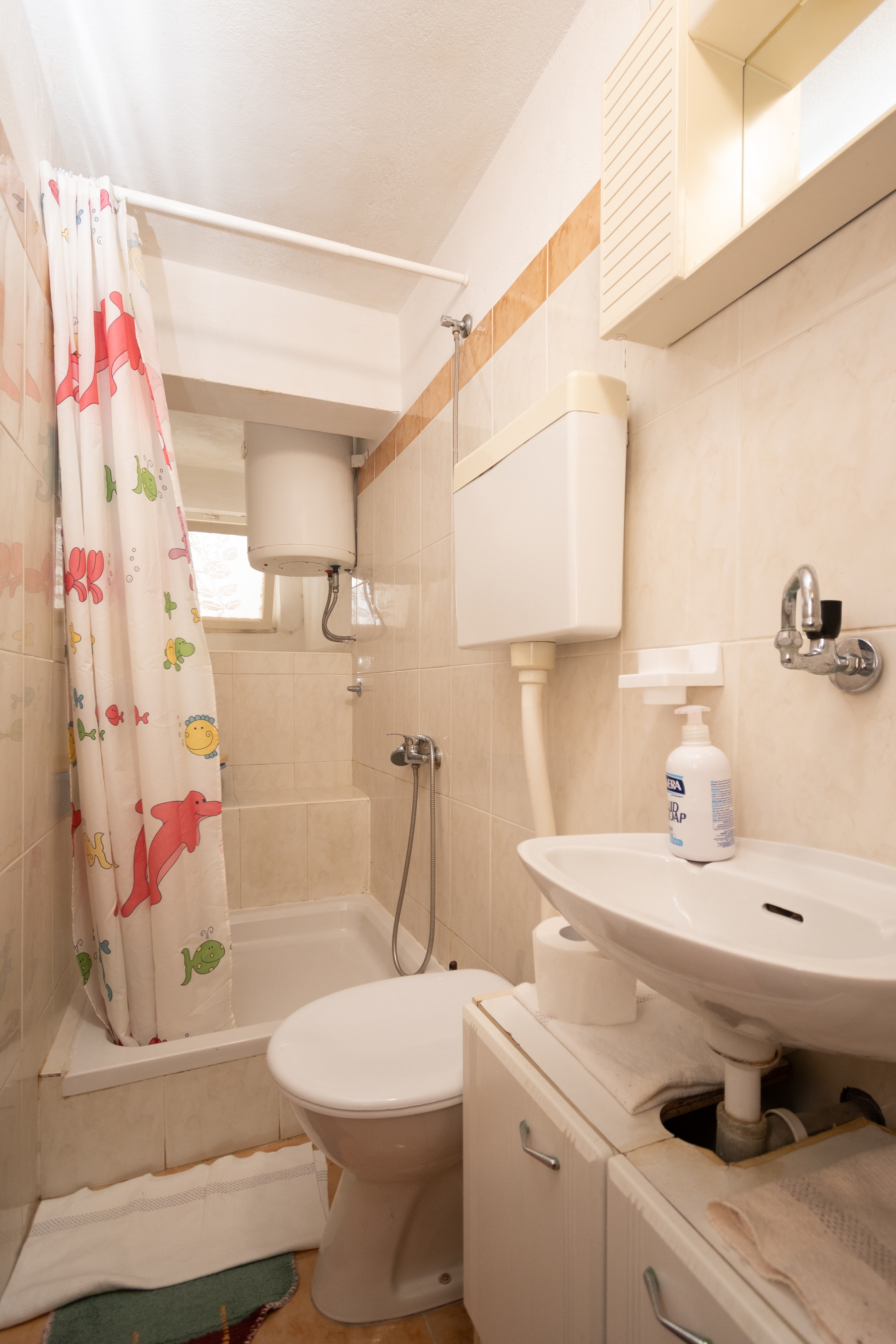 Three bedroom apartment near beach Zaglav, Dugi otok  A-a
