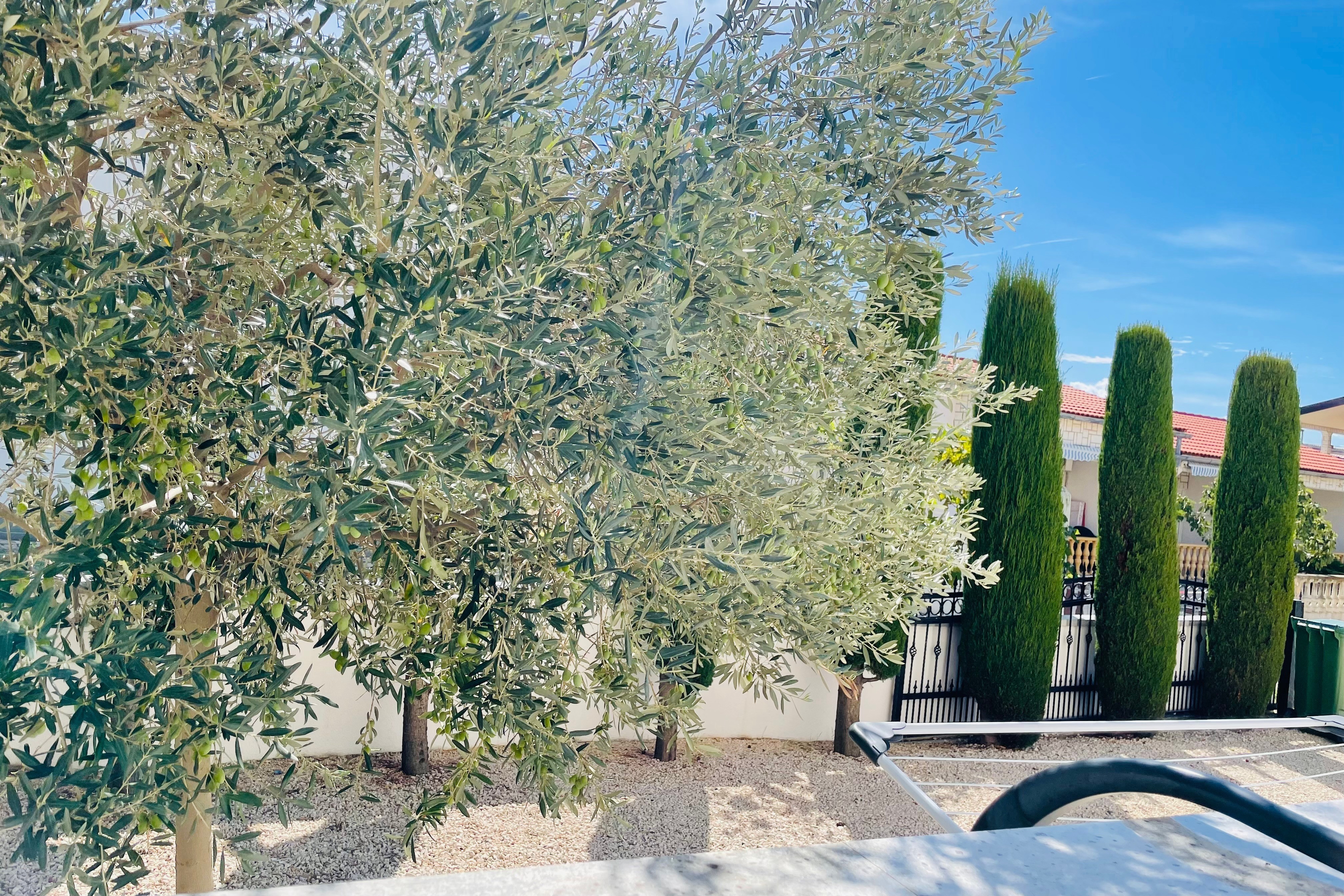 Three bedroom apartment with terrace Vir  A-a