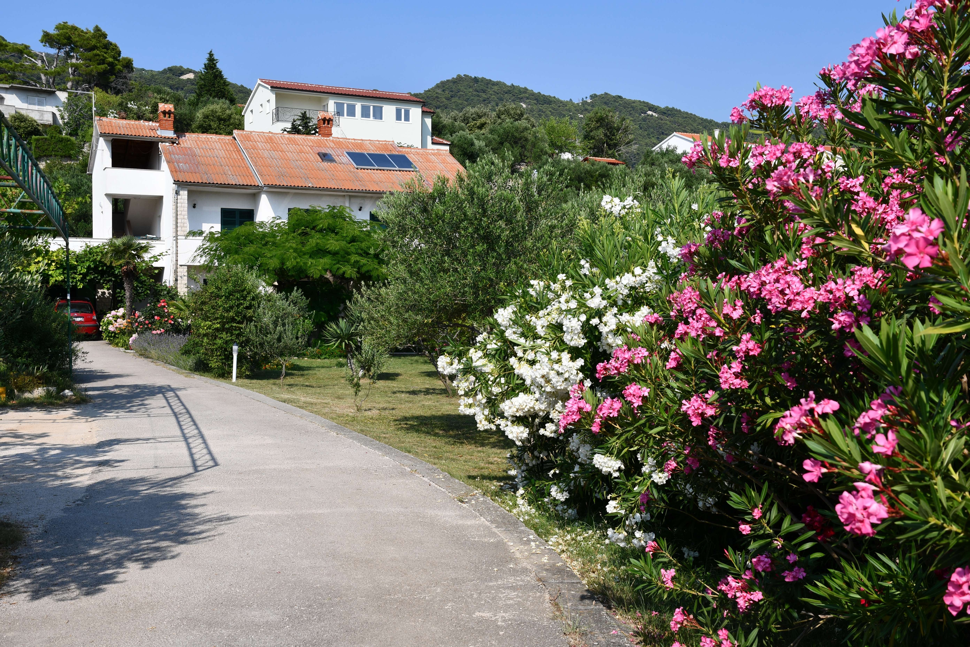 Top Rab Banjol Top Rab Banjol