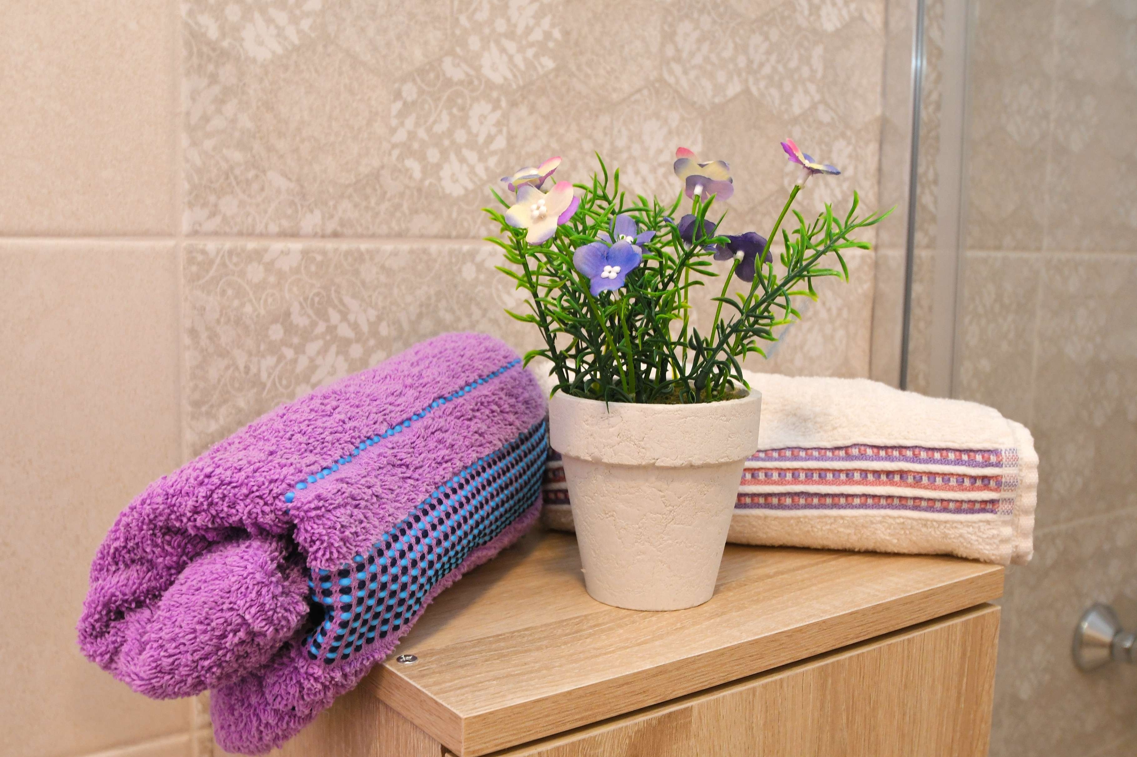 Top Rijeka Top Rijeka