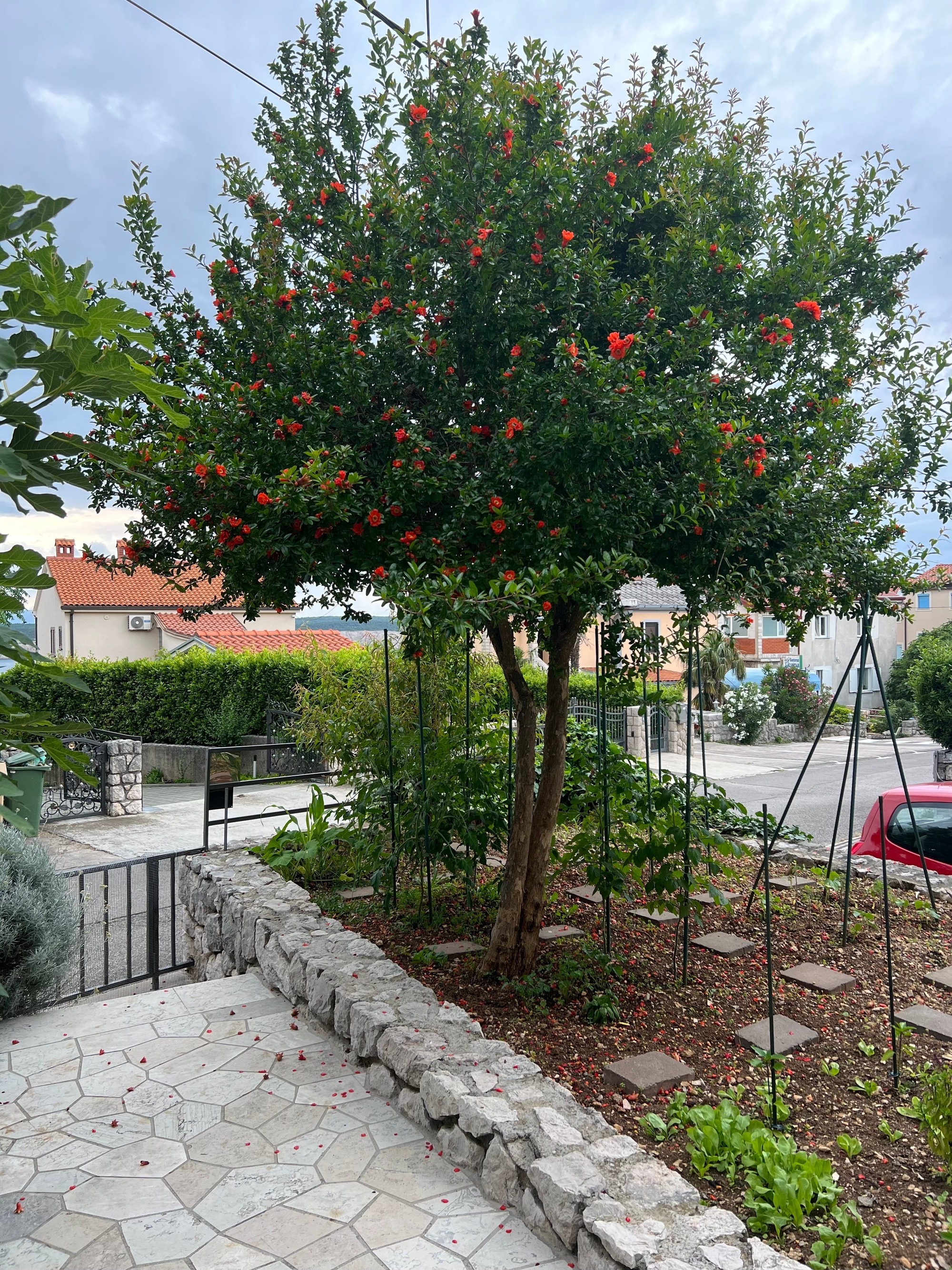 Top Crikvenica Jadranovo Top Crikvenica Jadranovo