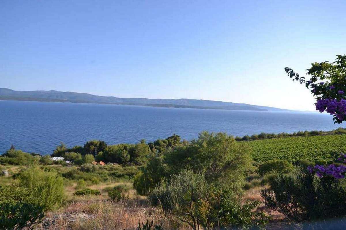 Top Brač Murvica Top Brač Murvica