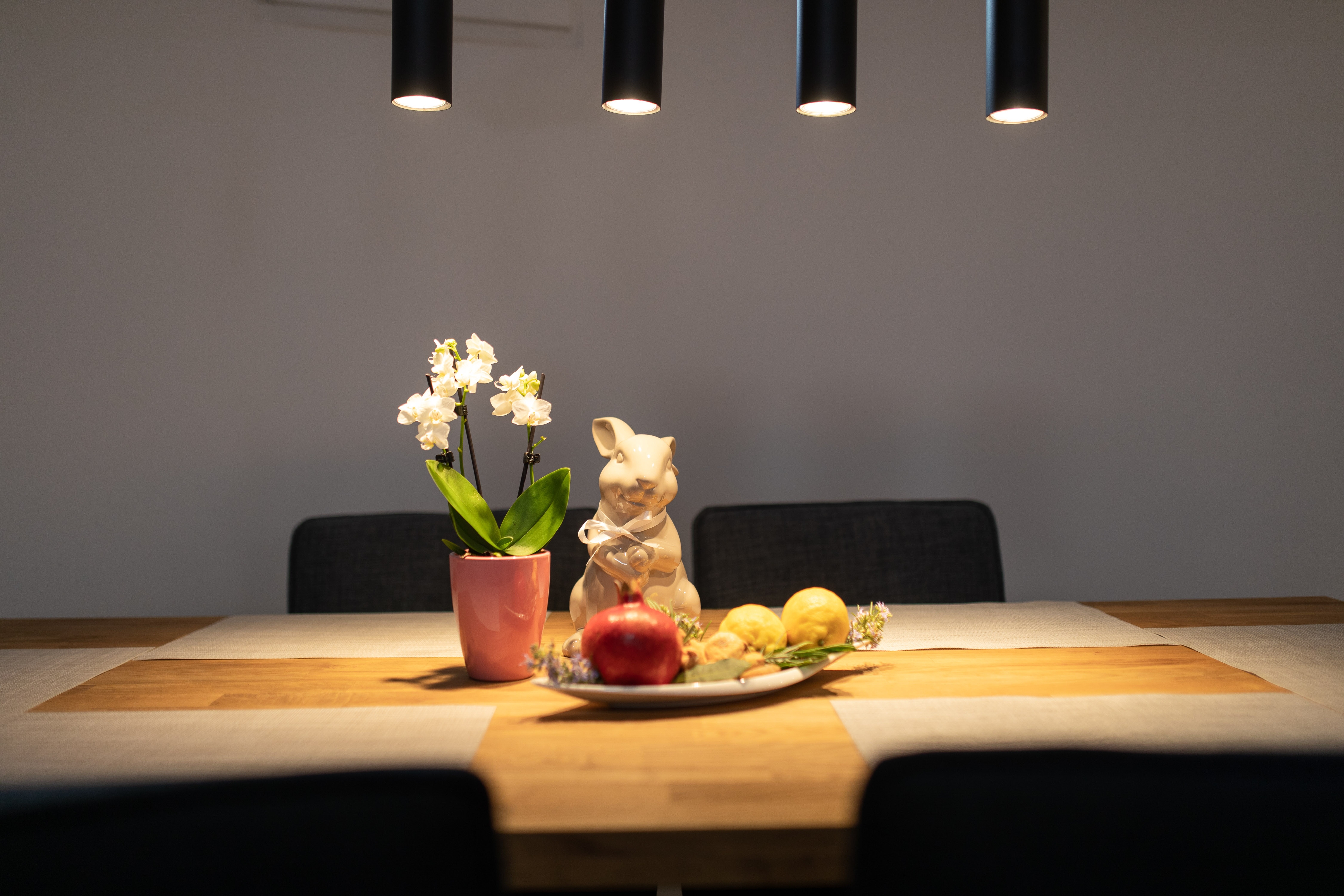 Top Krk Punat Top Krk Punat