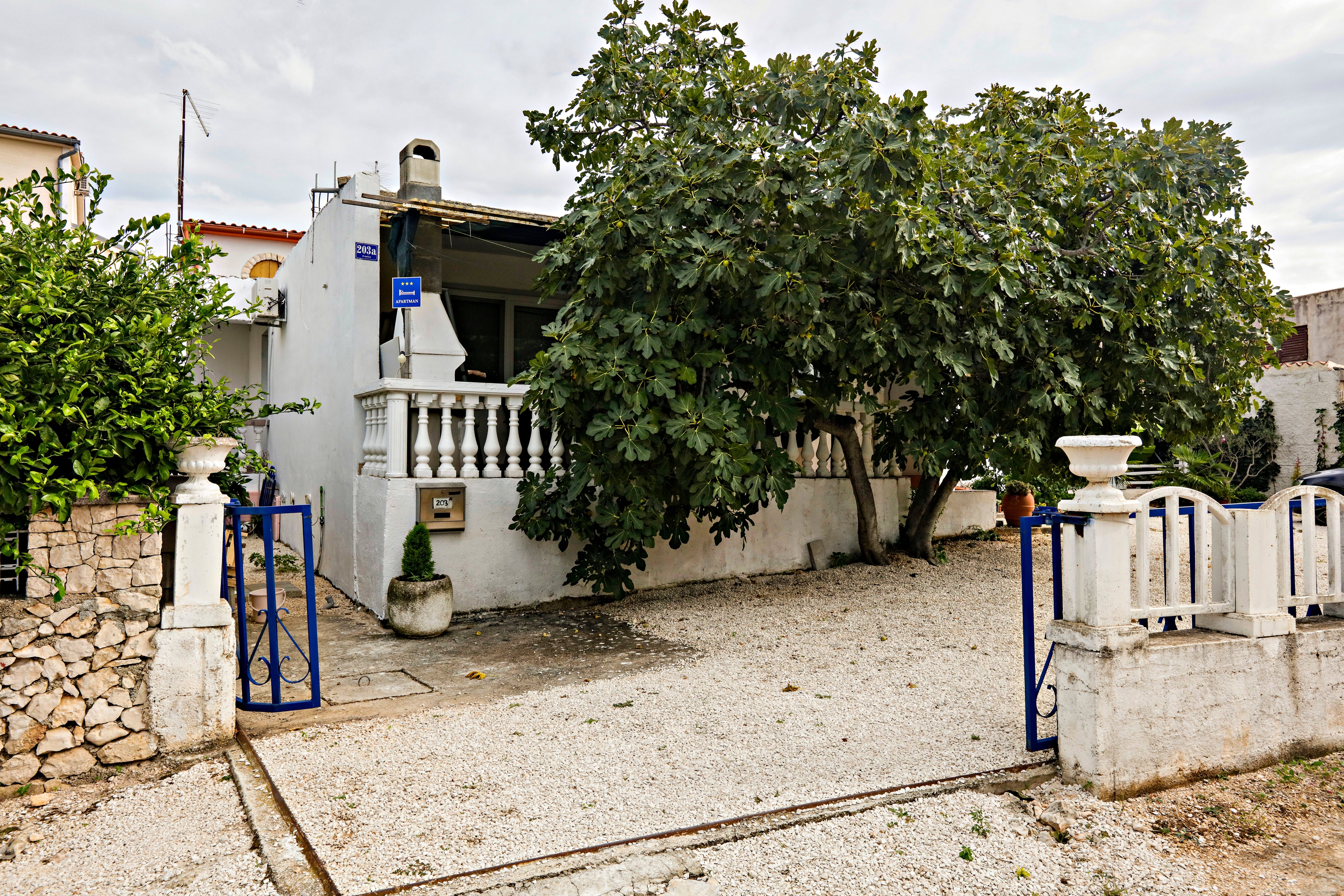 Top Rogoznica Kanica Top Rogoznica Kanica