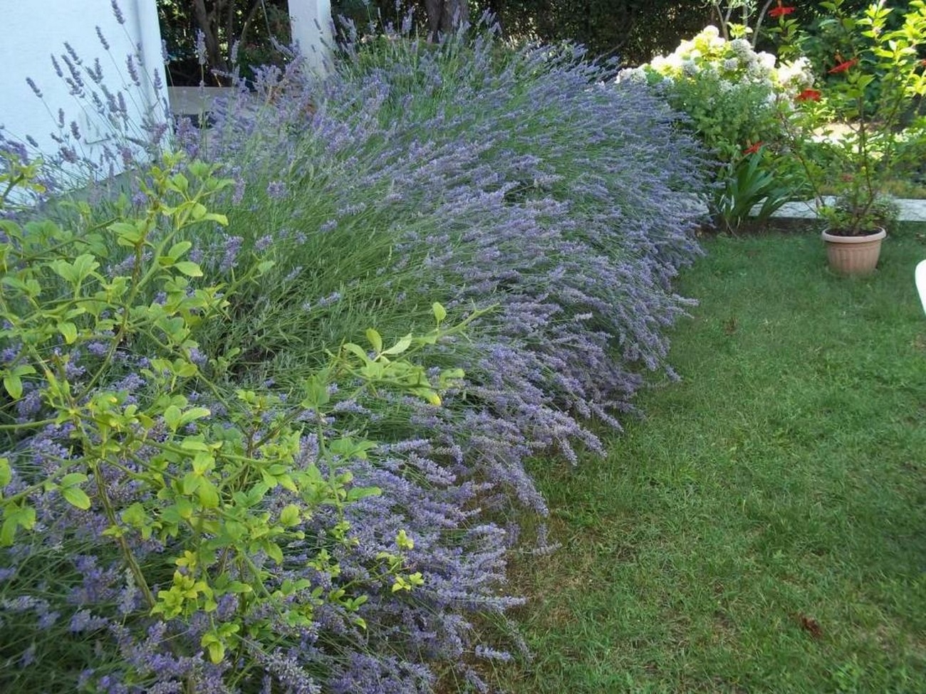 Two bedroom apartment with terrace and sea view Petrčane, Zadar (A-23558-a) Two bedroom apartment with terrace and sea view Petrčane, Zadar (A-23558-a)