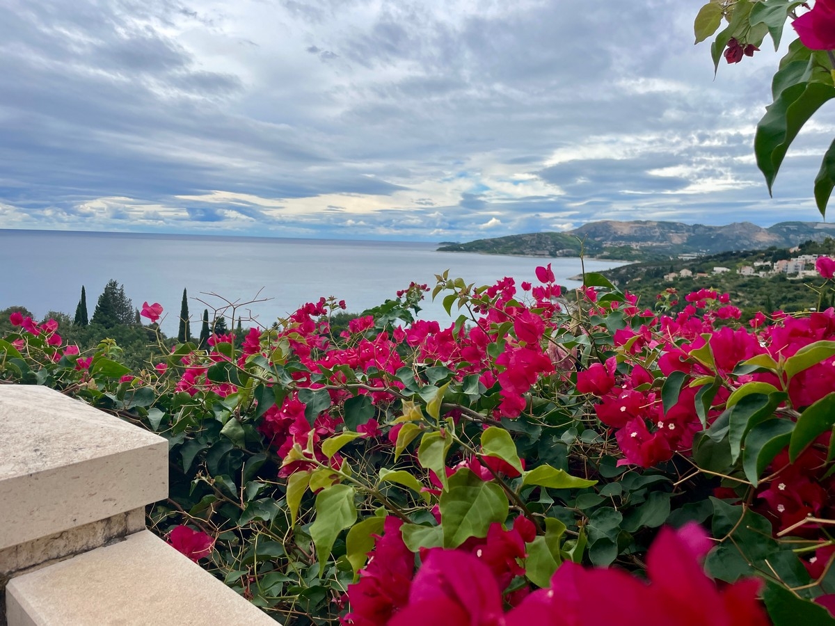 One bedroom apartment with terrace and sea view Plat, Dubrovnik  A-d