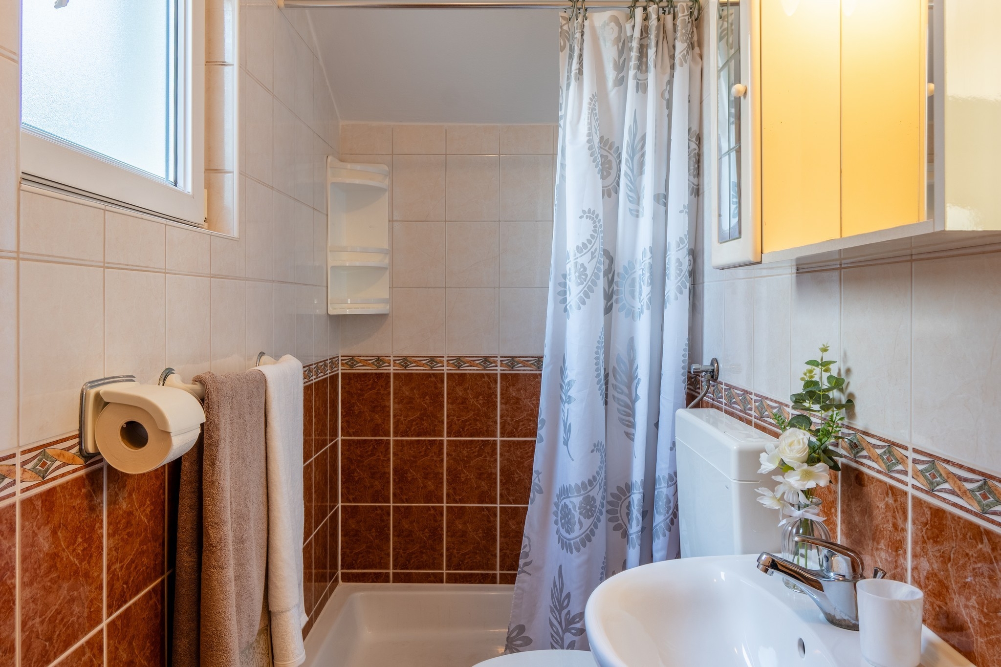 One bedroom apartment with terrace Vir  A-b