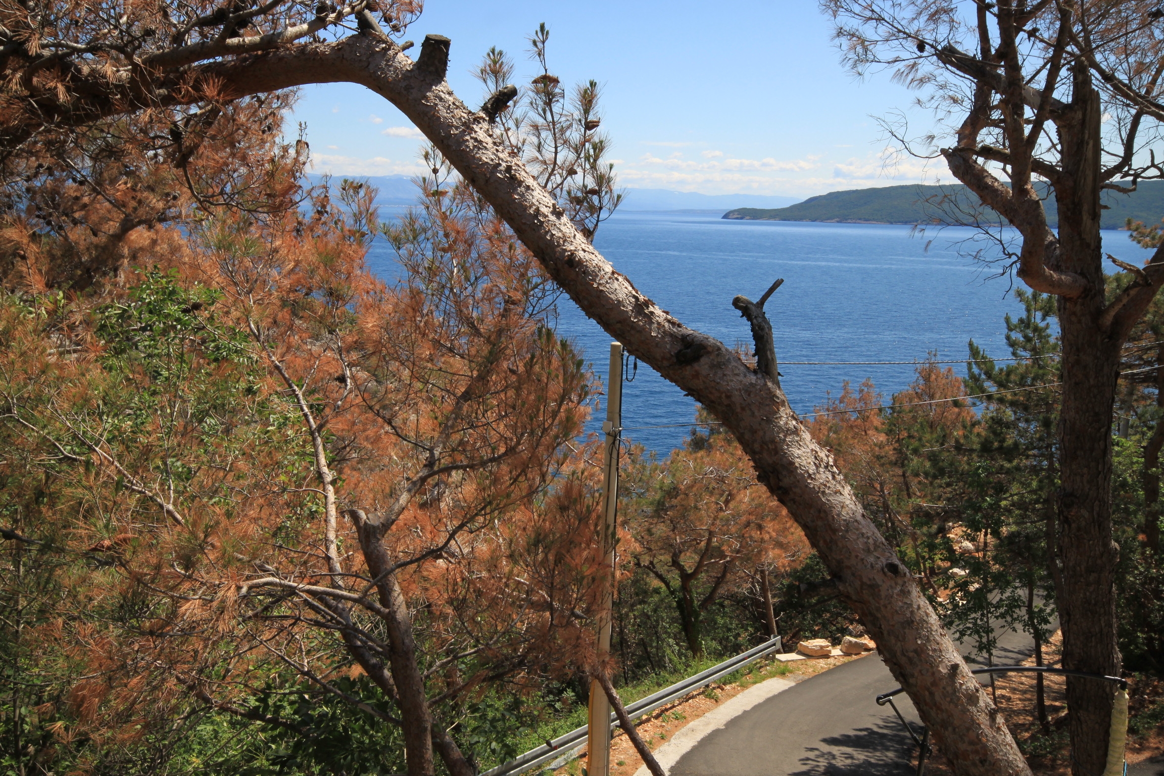 One bedroom apartment with terrace and sea view Brseč, Opatija  A-a