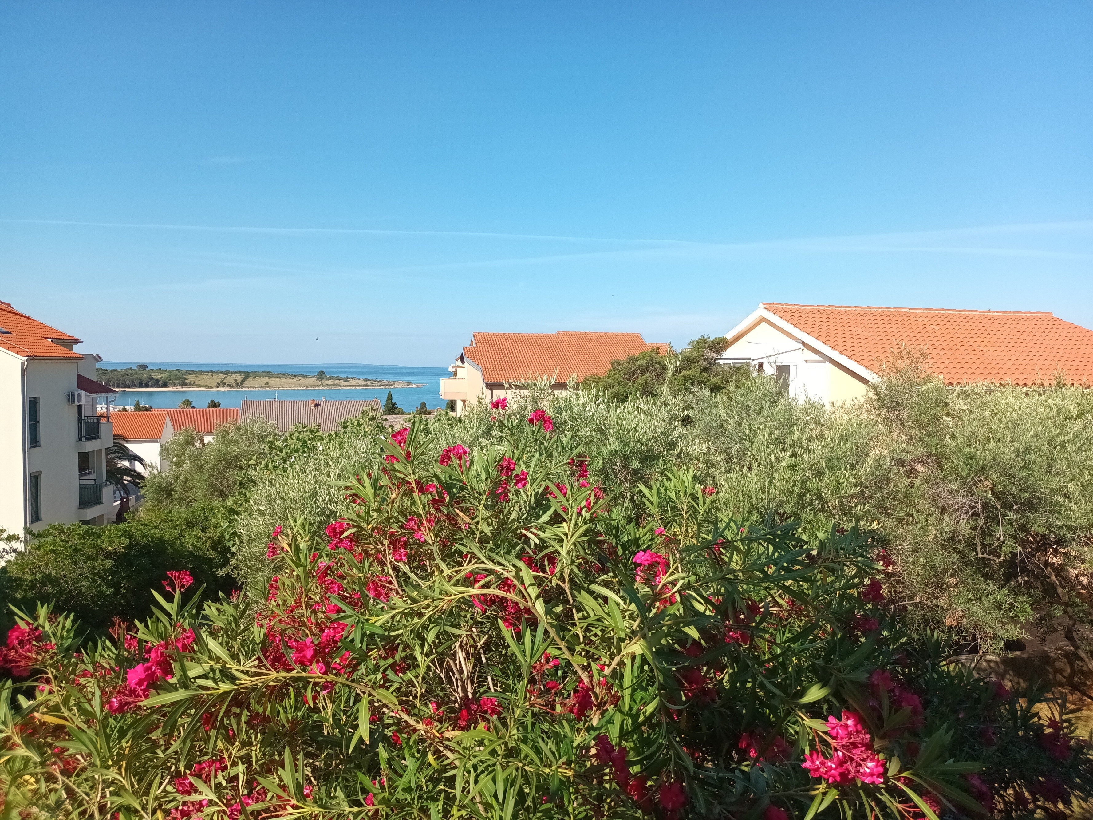 One bedroom apartment with terrace and sea view Novalja, Pag  A-a