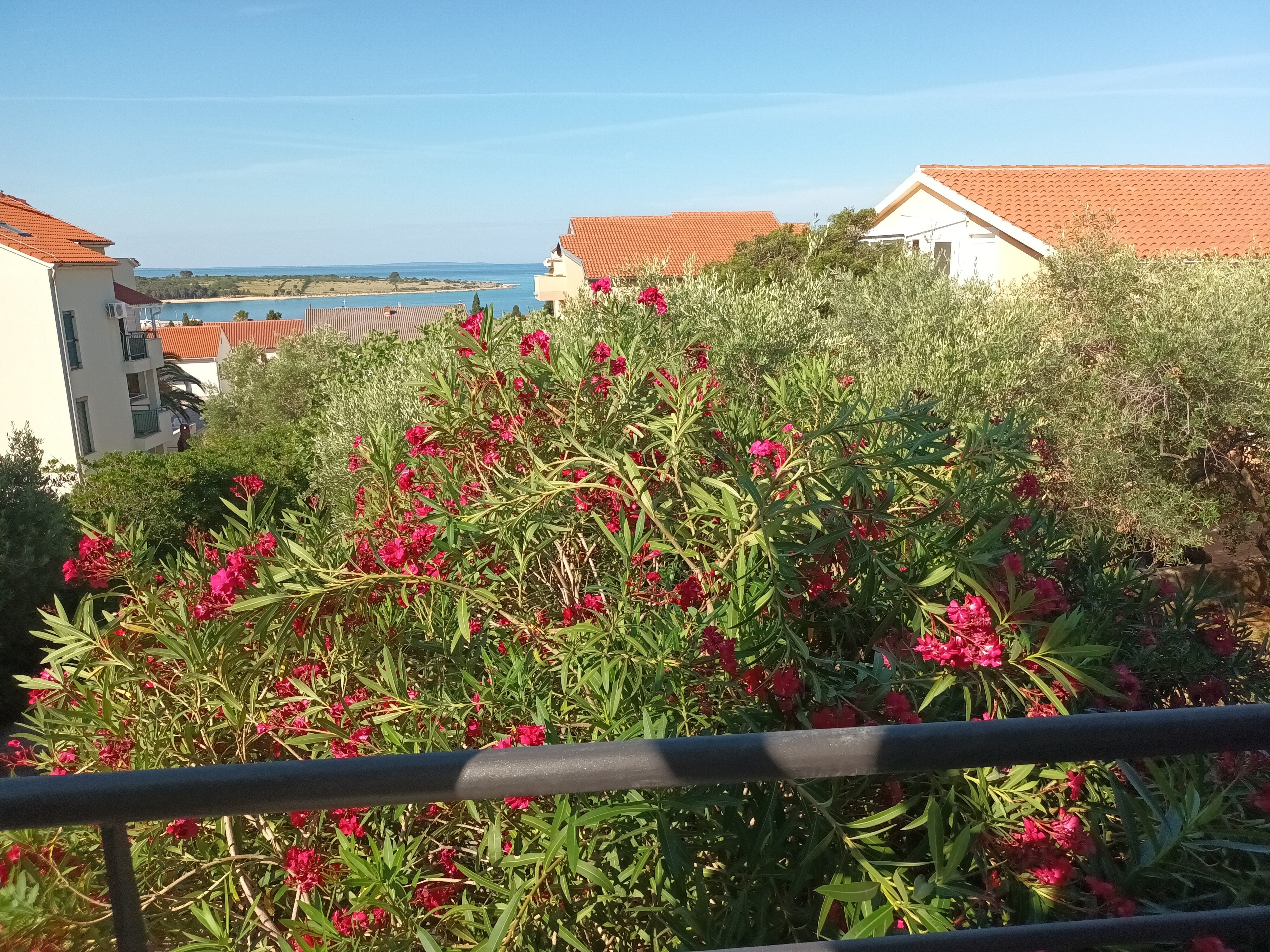 One bedroom apartment with terrace and sea view Novalja, Pag  A-b