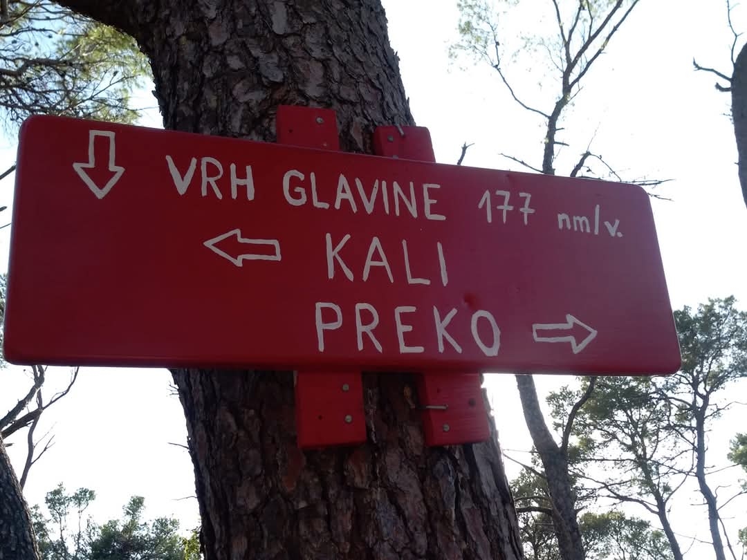 Jednosobna kuća s terasom i pogledom na more Kali, Ugljan  K