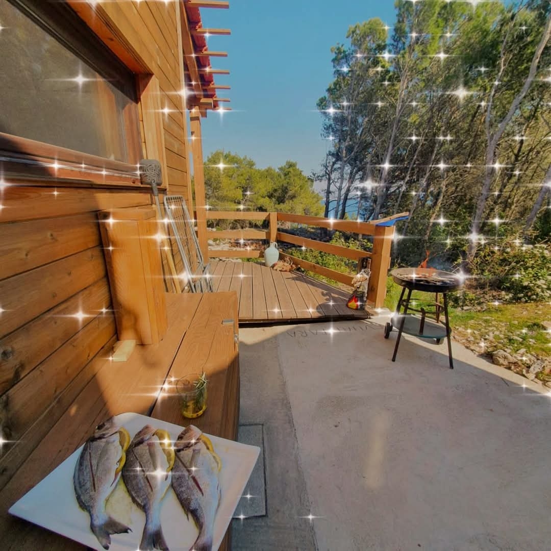 One bedroom house with terrace and sea view Kali, Ugljan  K