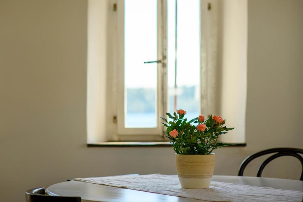 One bedroom apartment with balcony Šibenik  A-a
