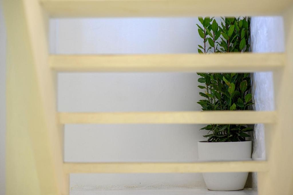 One bedroom apartment with balcony Šibenik  A-a