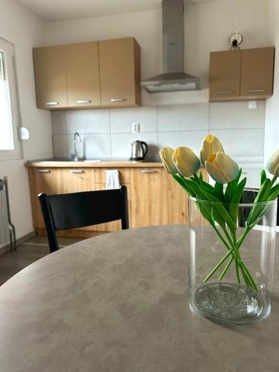 Two bedroom apartment with balcony Ogulin, Gorski kotar  A-a