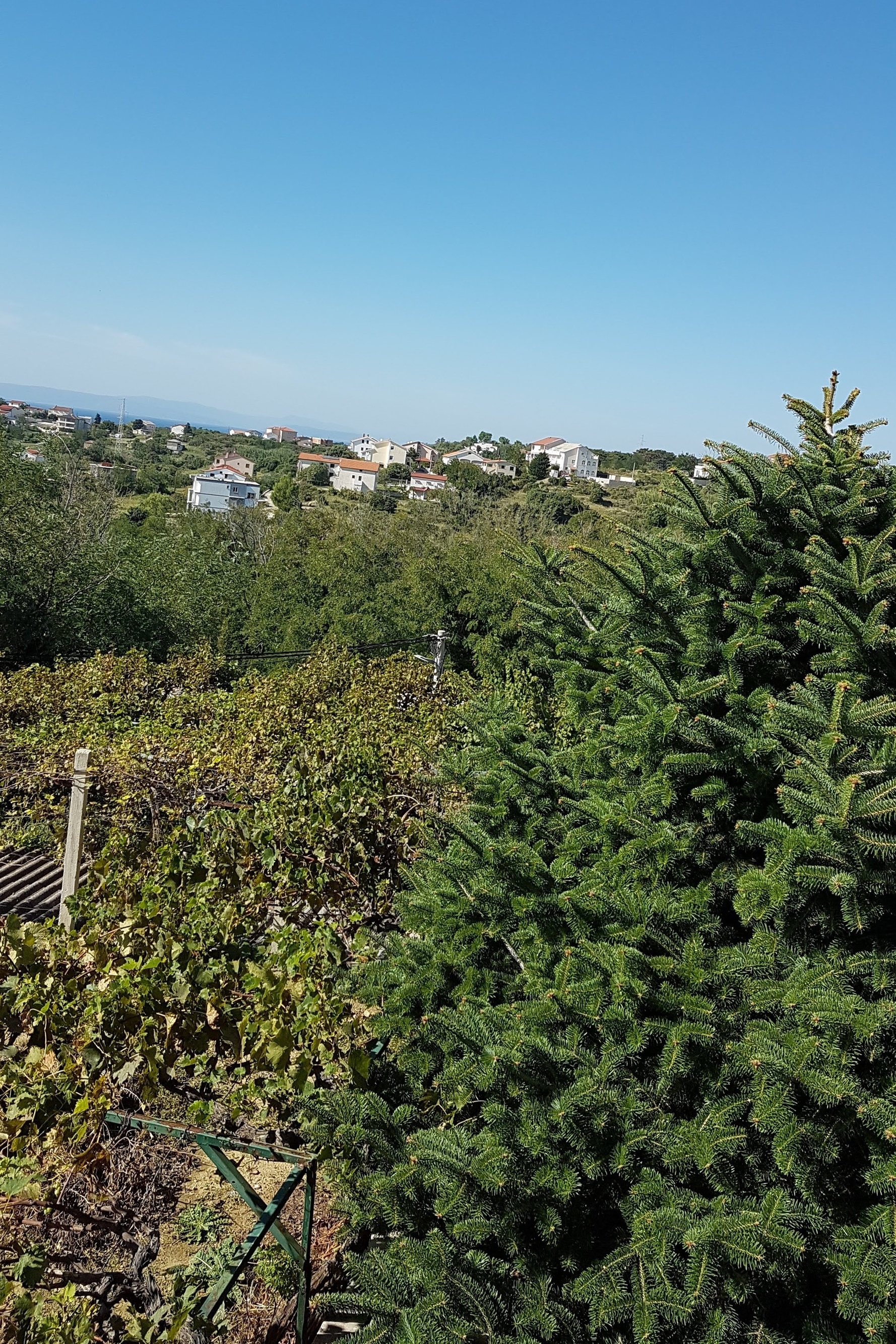 One bedroom apartment with terrace and sea view Lopar, Rab  A-c