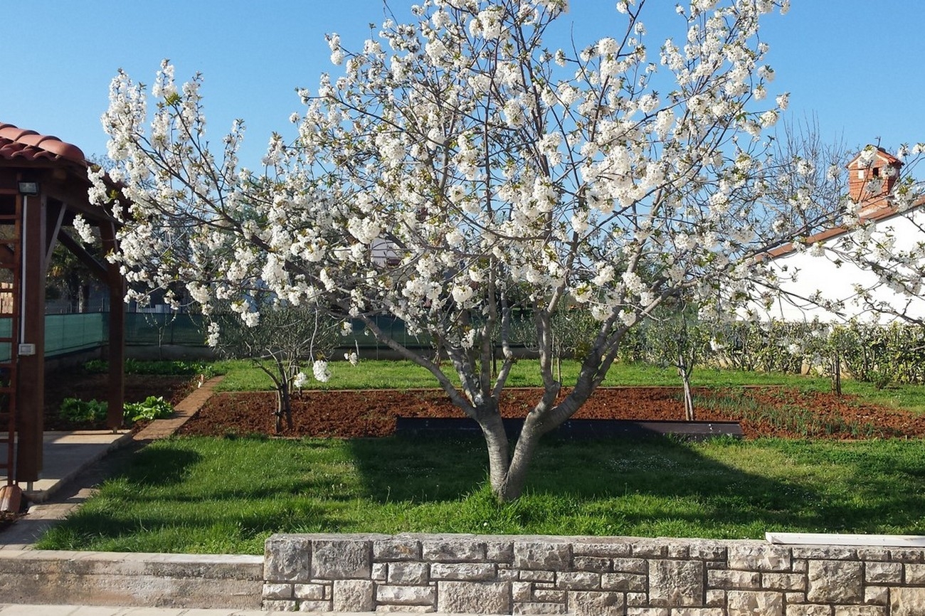 Three bedroom apartment with terrace Valbandon, Fažana  A-b