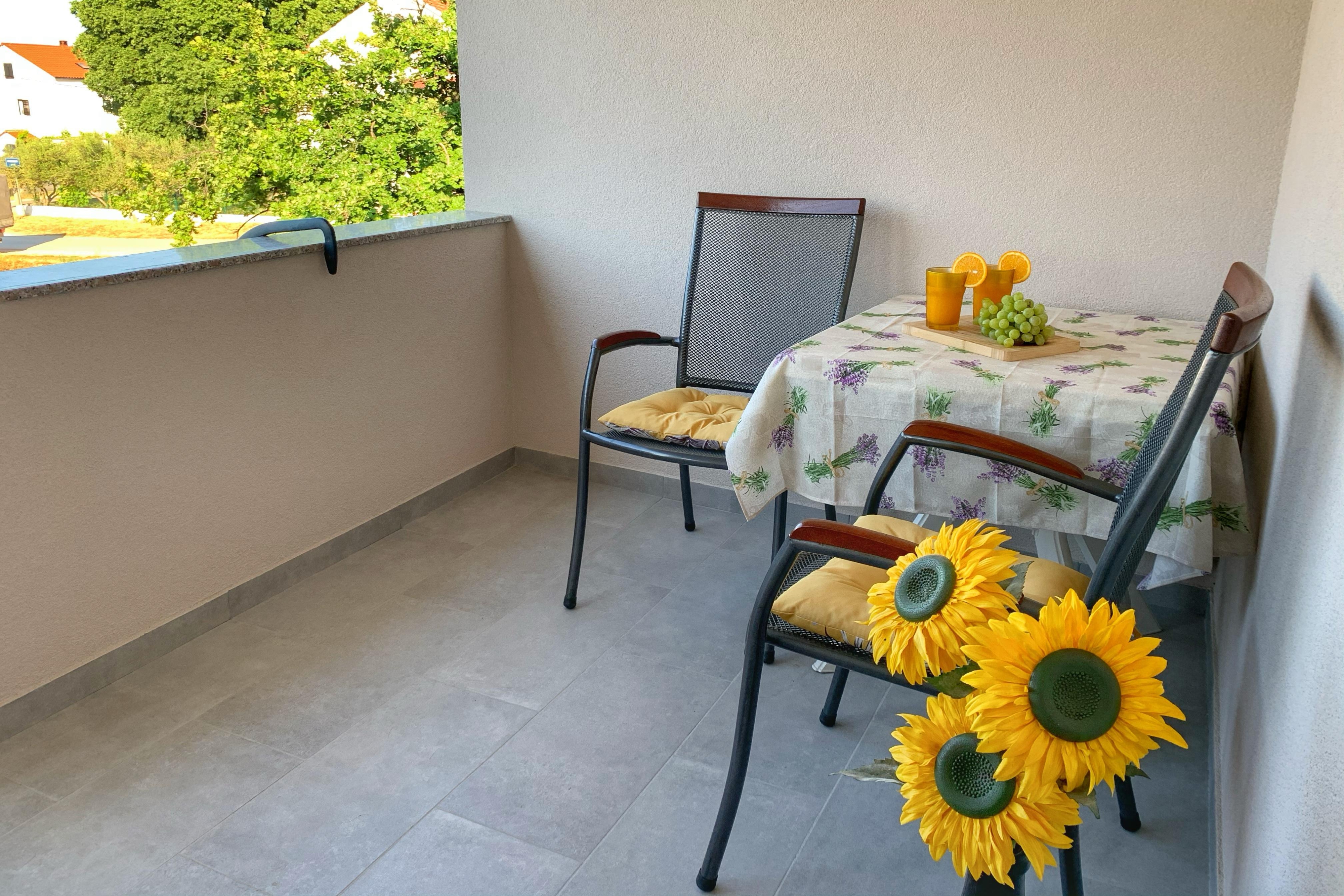 Top Biograd Biograd na Moru Top Biograd Biograd na Moru