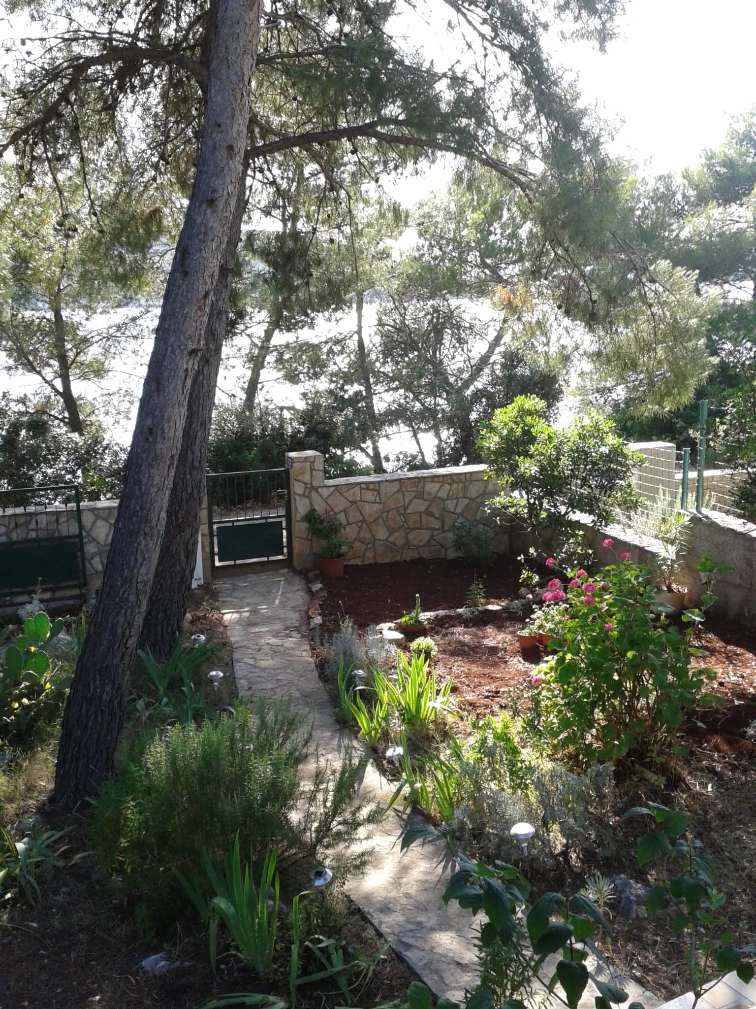 One bedroom house near beach Maslinica, Šolta  K
