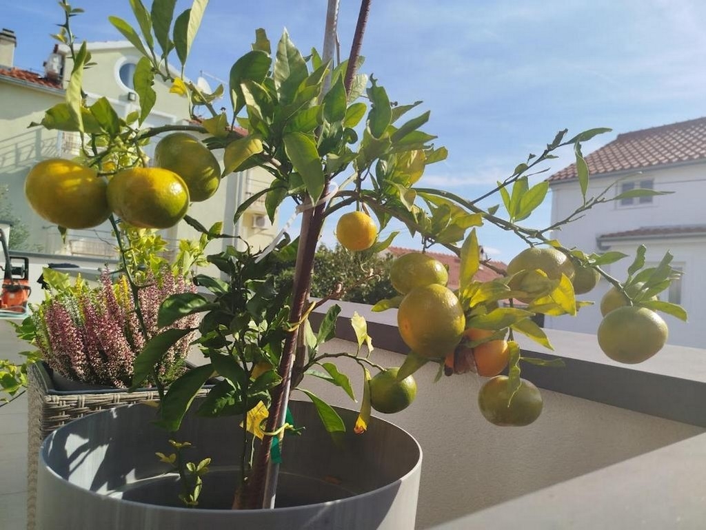 Two bedroom apartment with terrace Vodice  A-a
