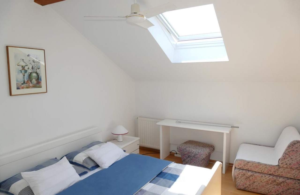 Top Rab Barbat Top Rab Barbat