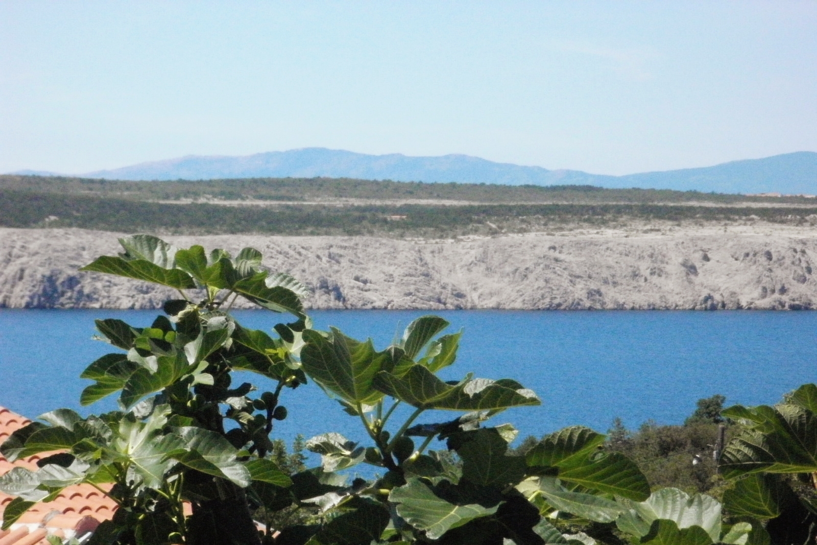 Two bedroom apartment with terrace and sea view Jadranovo, Crikvenica  A-c