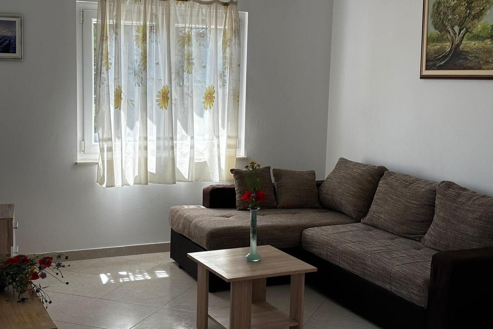 Top Brač Osibova Top Brač Osibova