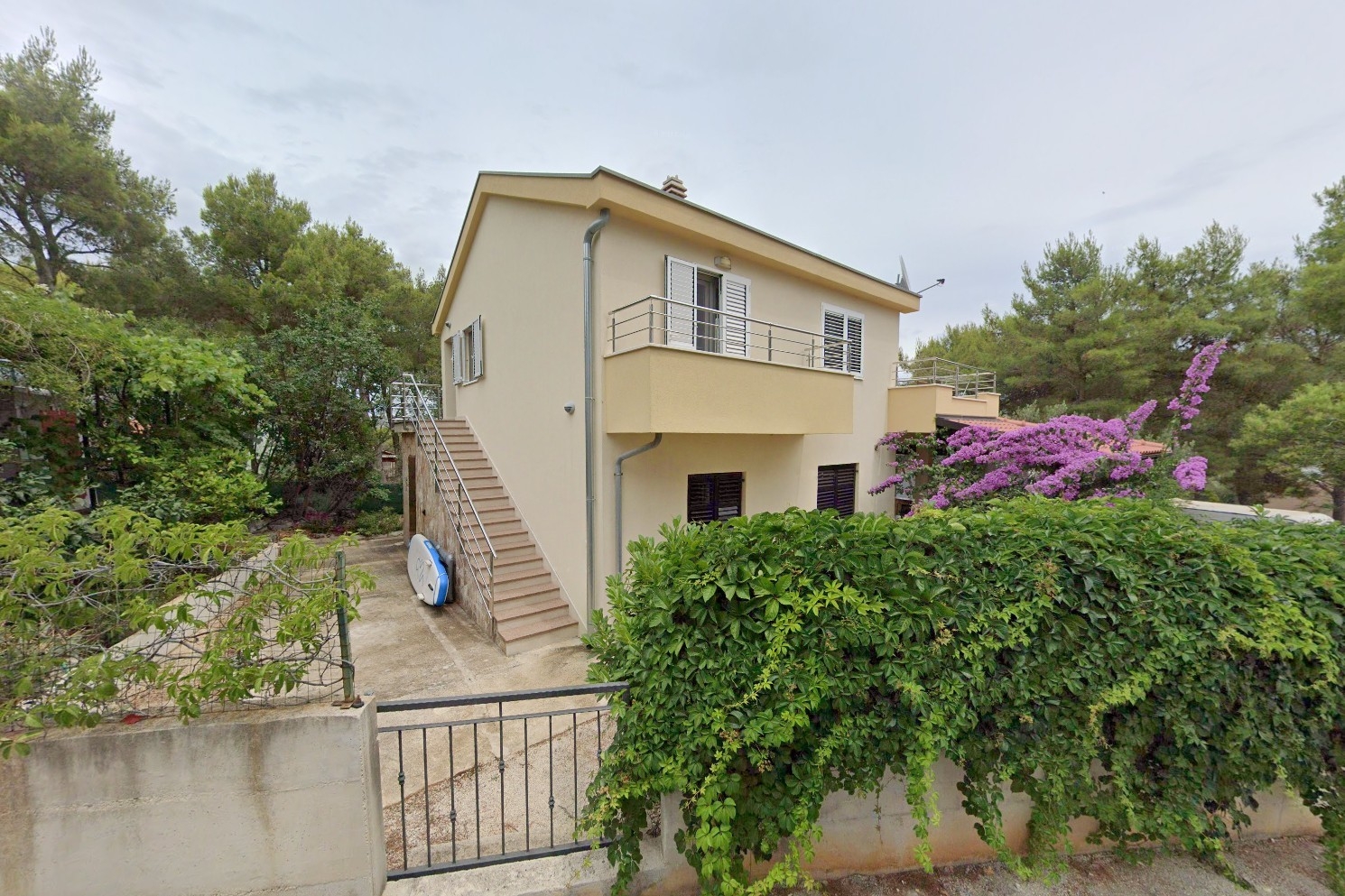 Top Brač Osibova Top Brač Osibova