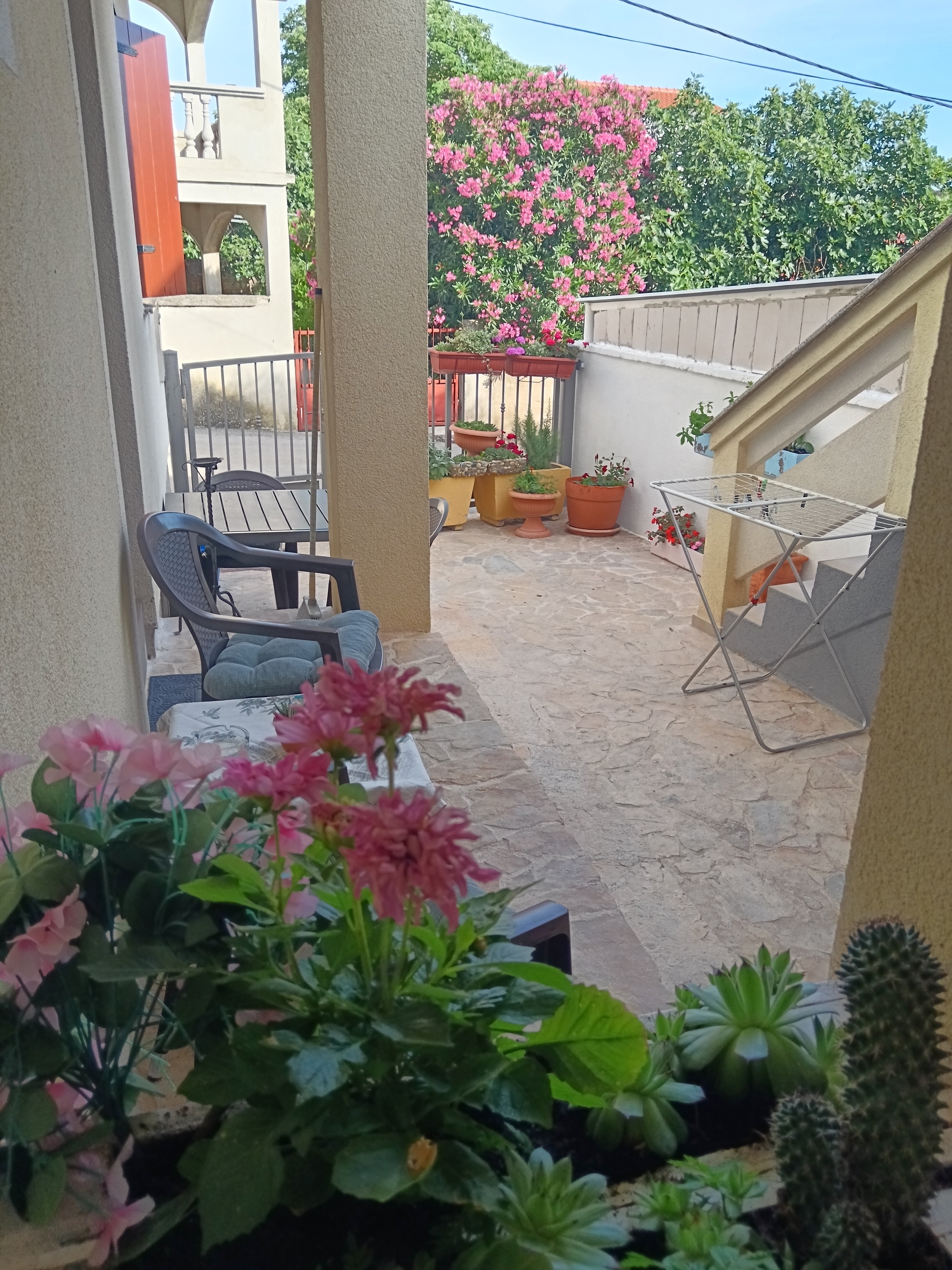 One bedroom apartment with terrace Sveti Filip i Jakov, Biograd  A-a