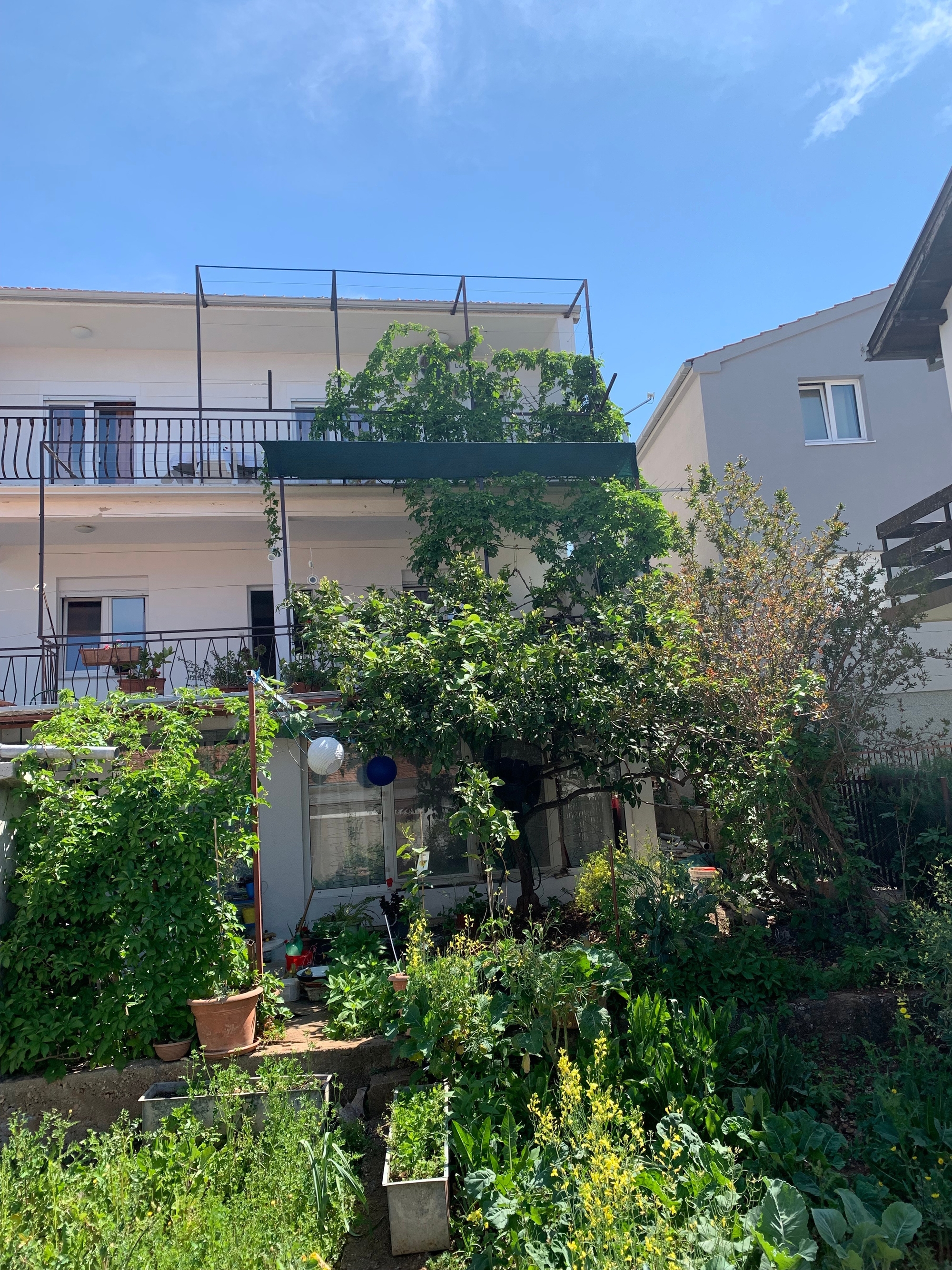 Top Rogoznica Top Rogoznica