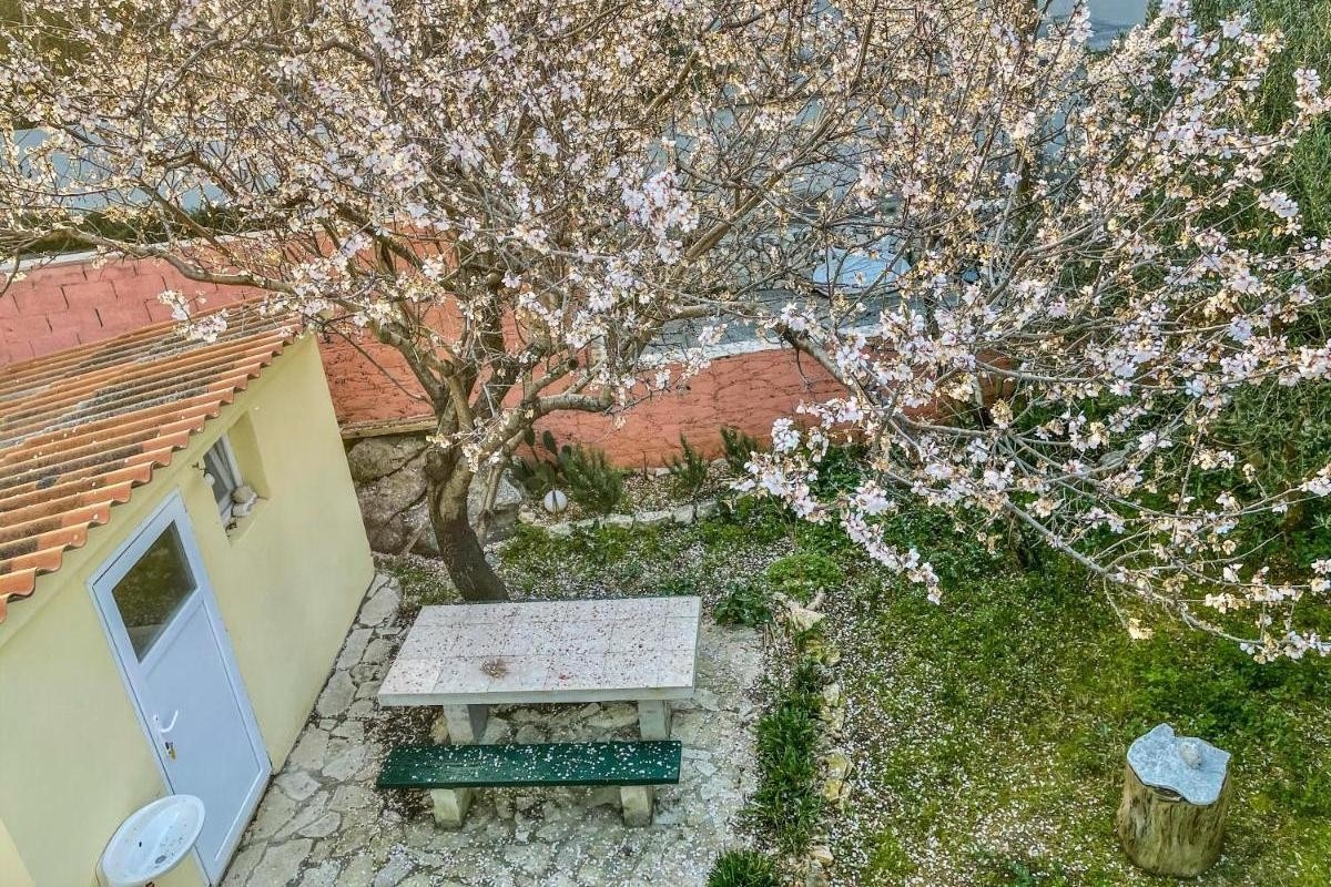 Studio flat with terrace Novalja, Pag  AS-b