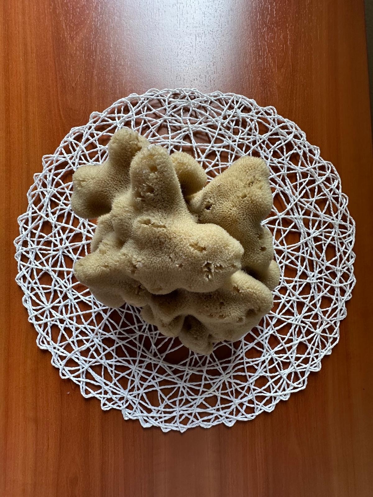 Top Dugi otok Božava Top Dugi otok Božava