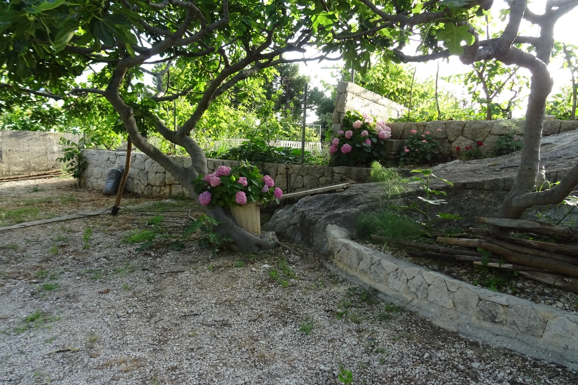 Top Makarska Živogošće - Blato Top Makarska Živogošće - Blato