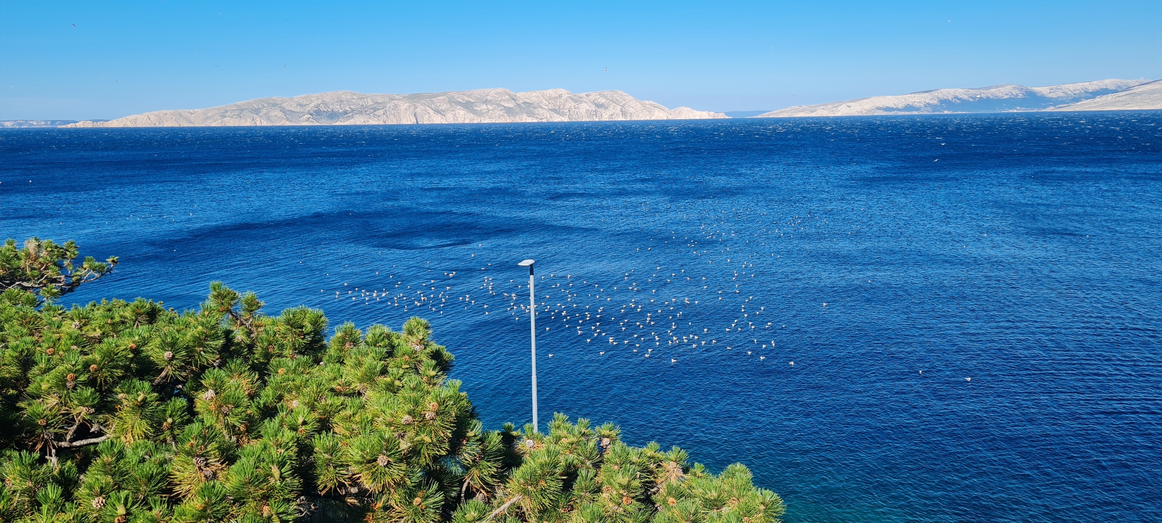 Top Senj Sveti Juraj Top Senj Sveti Juraj