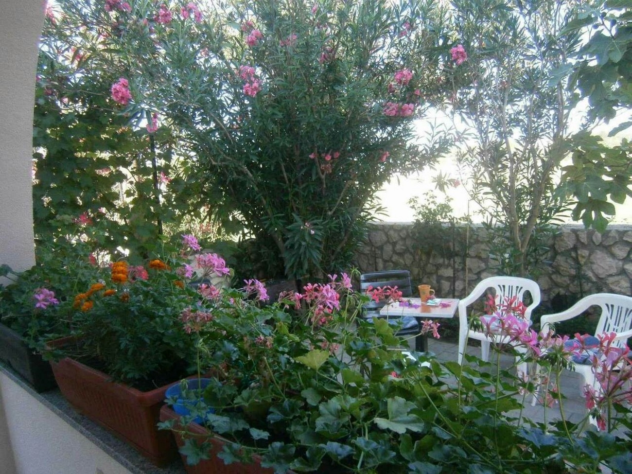 One bedroom apartment with terrace Privlaka, Zadar (A-24002-b) One bedroom apartment with terrace Privlaka, Zadar (A-24002-b)