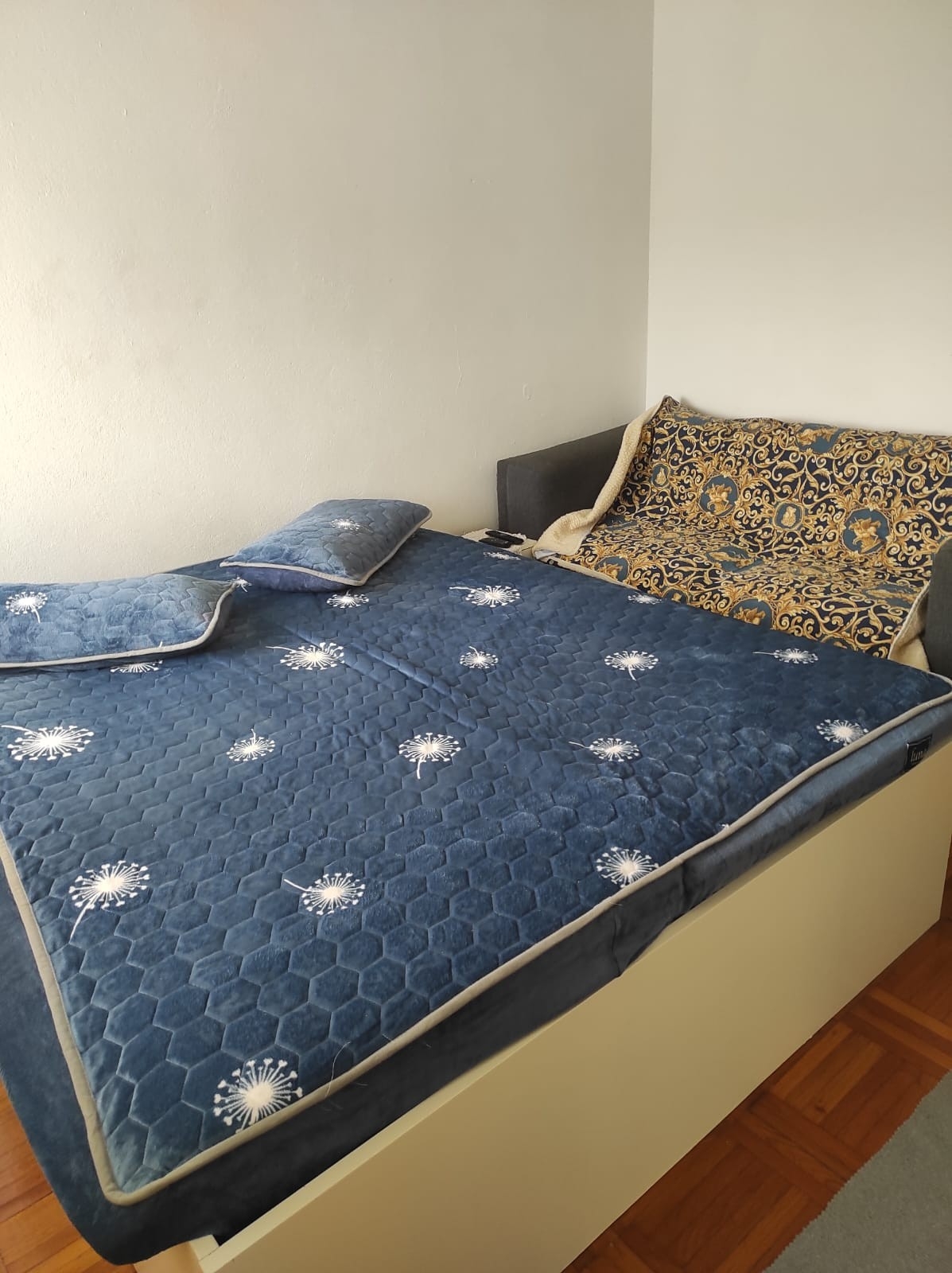 Top Novigrad Pridraga - Cuskijaš Top Novigrad Pridraga - Cuskijaš