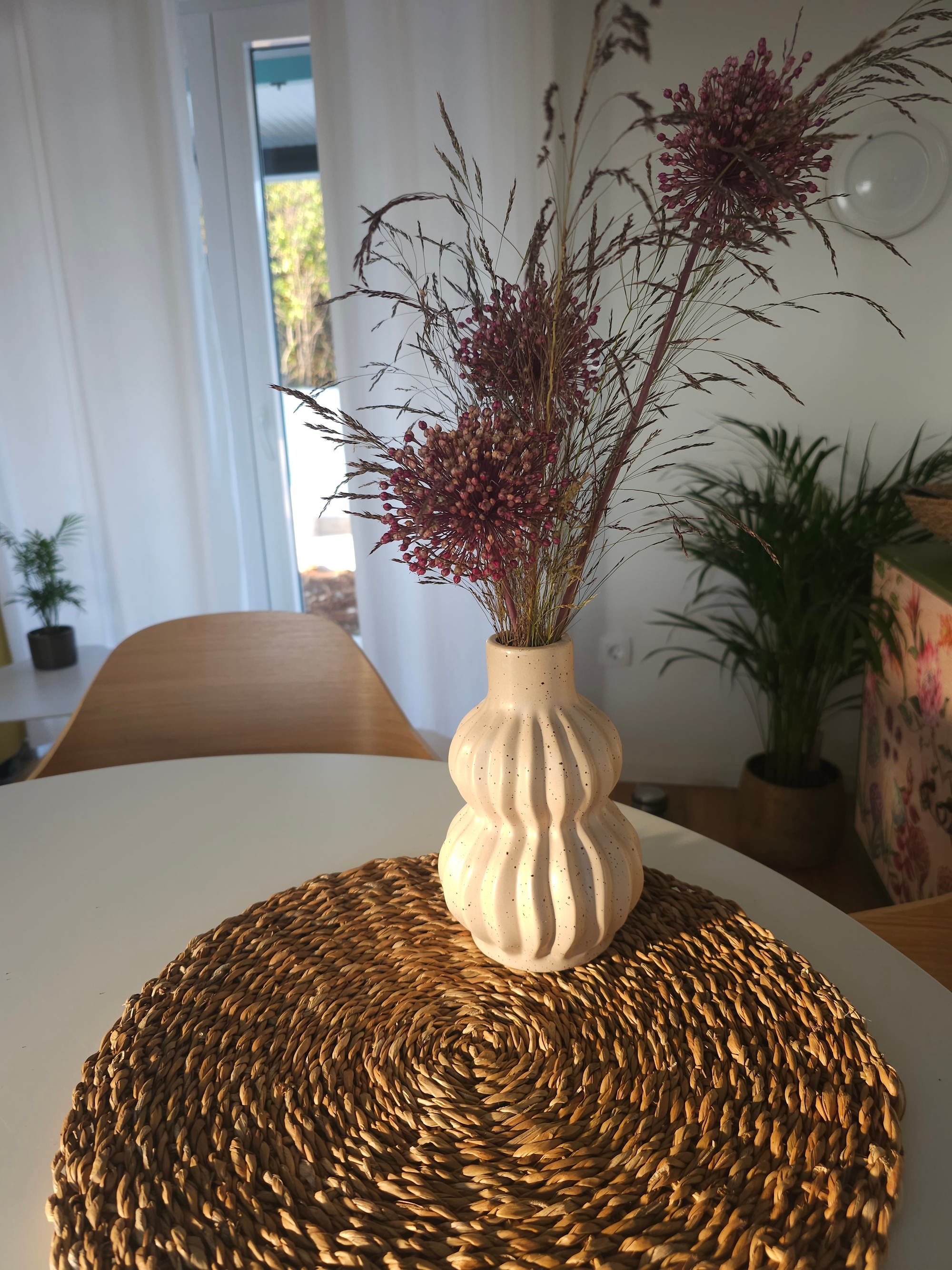 Top Pašman Neviđansko Polje Top Pašman Neviđansko Polje