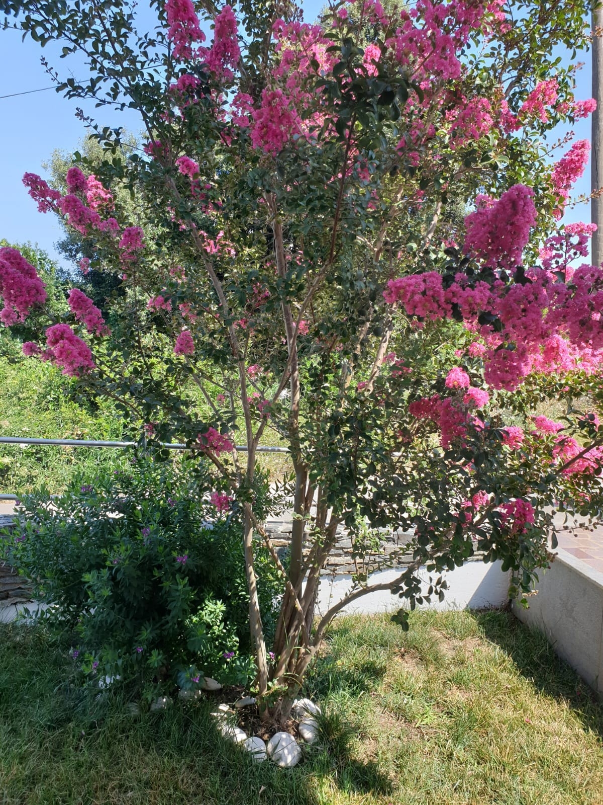 Top Korčula Top Korčula