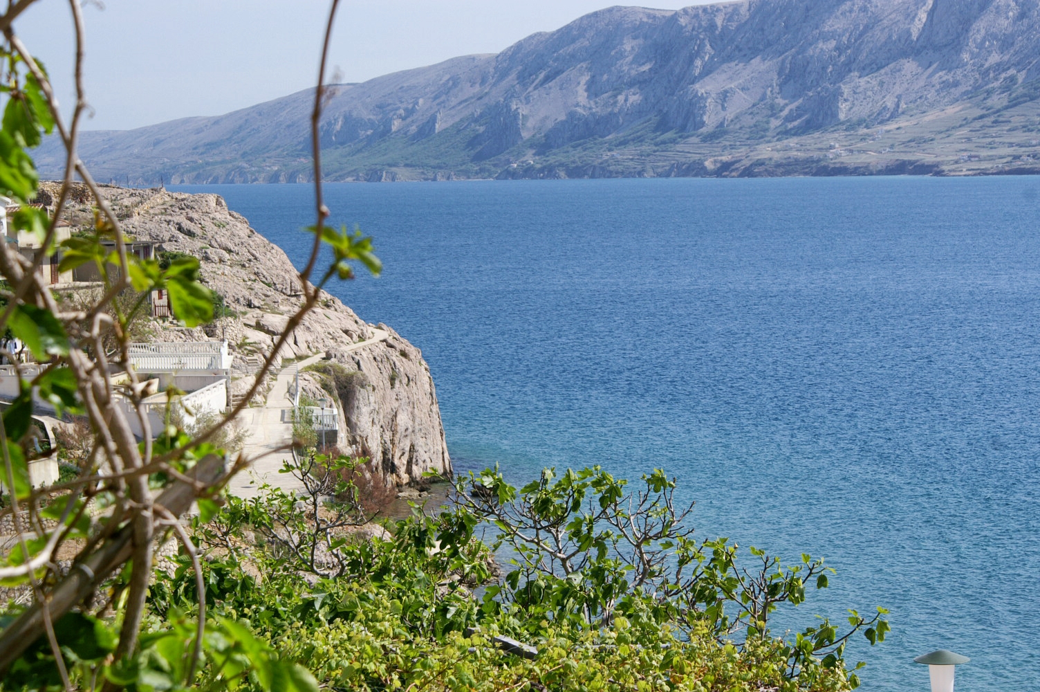 Top Pag Zubovići Top Pag Zubovići