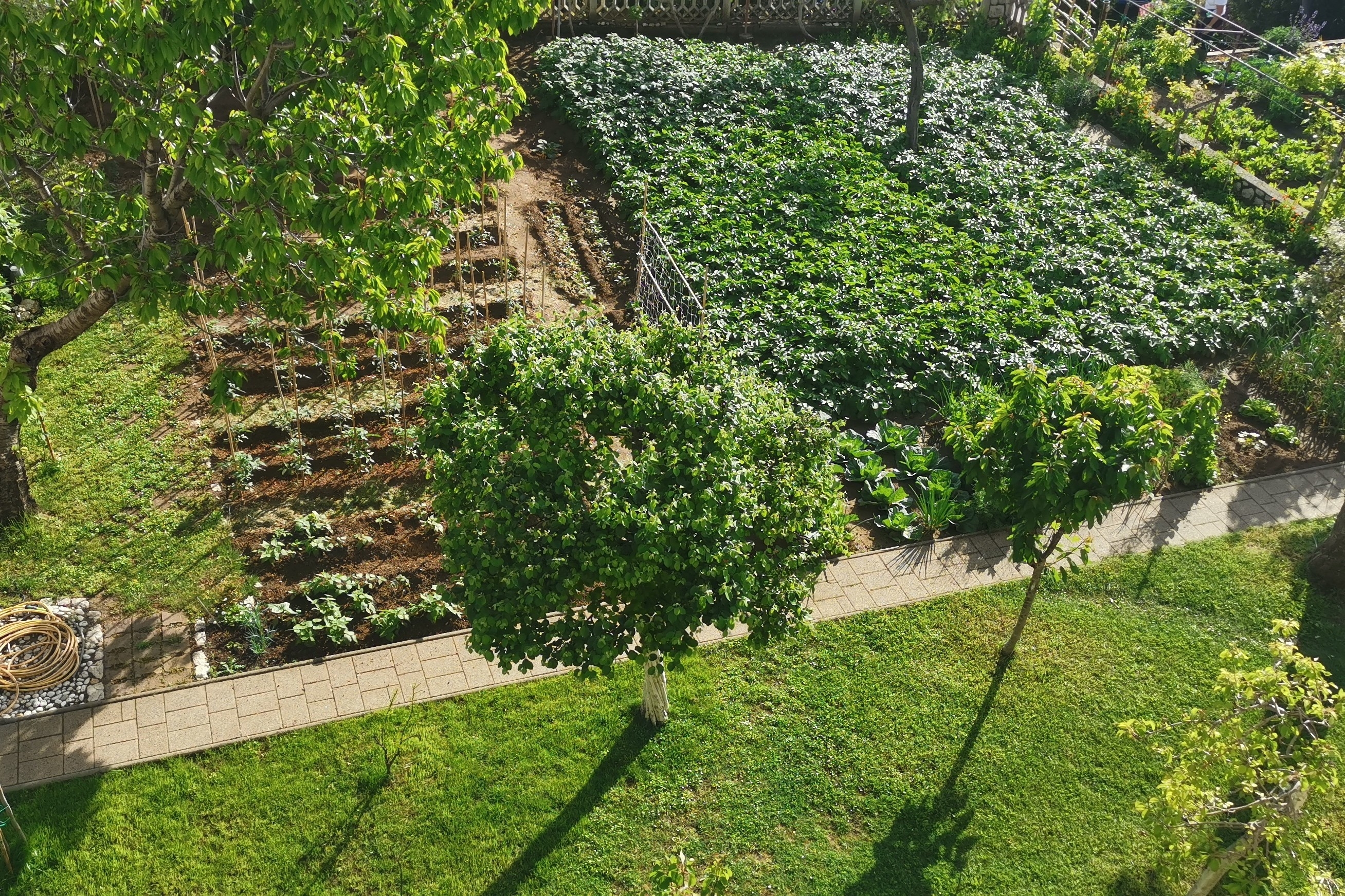 Top Rab Lopar Top Rab Lopar