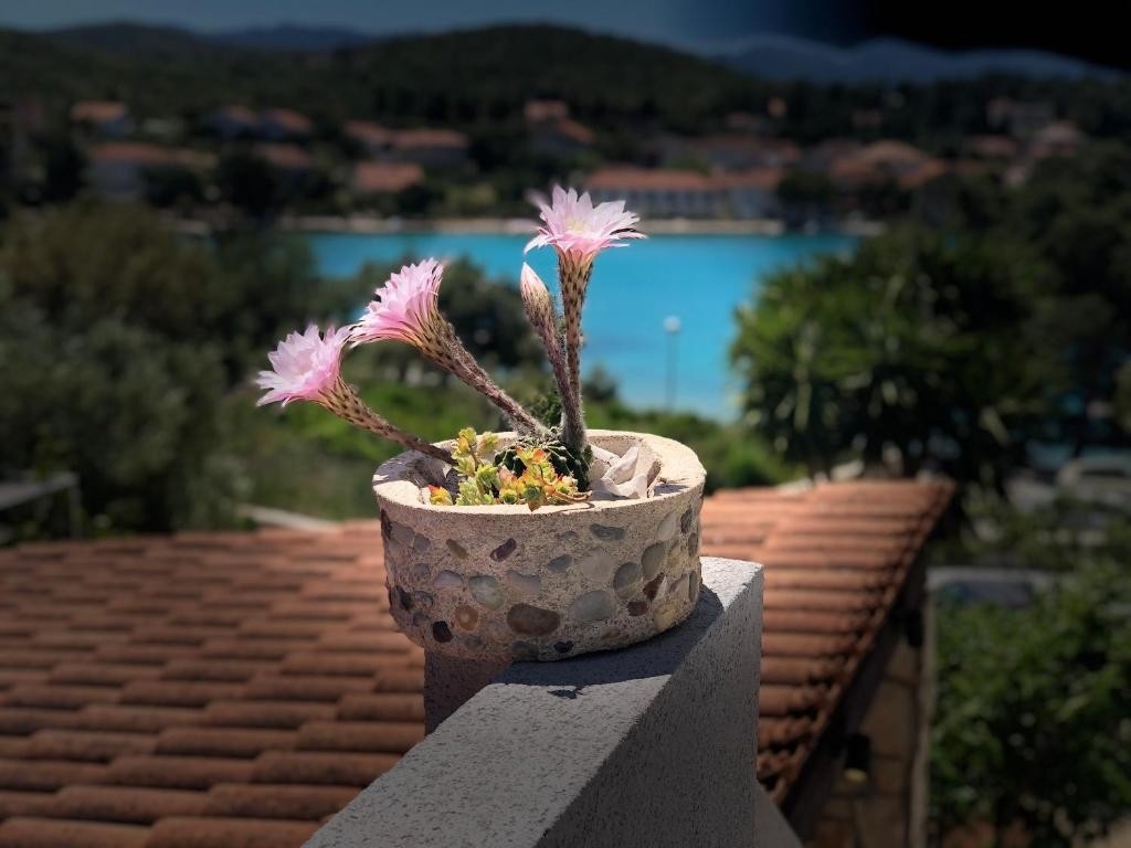 Studio flat with balcony and sea view Lovište, Pelješac  AS-a