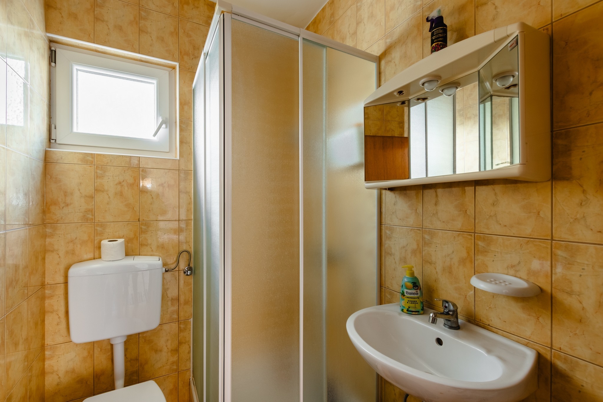 Three bedroom apartment with terrace Vir  A-a