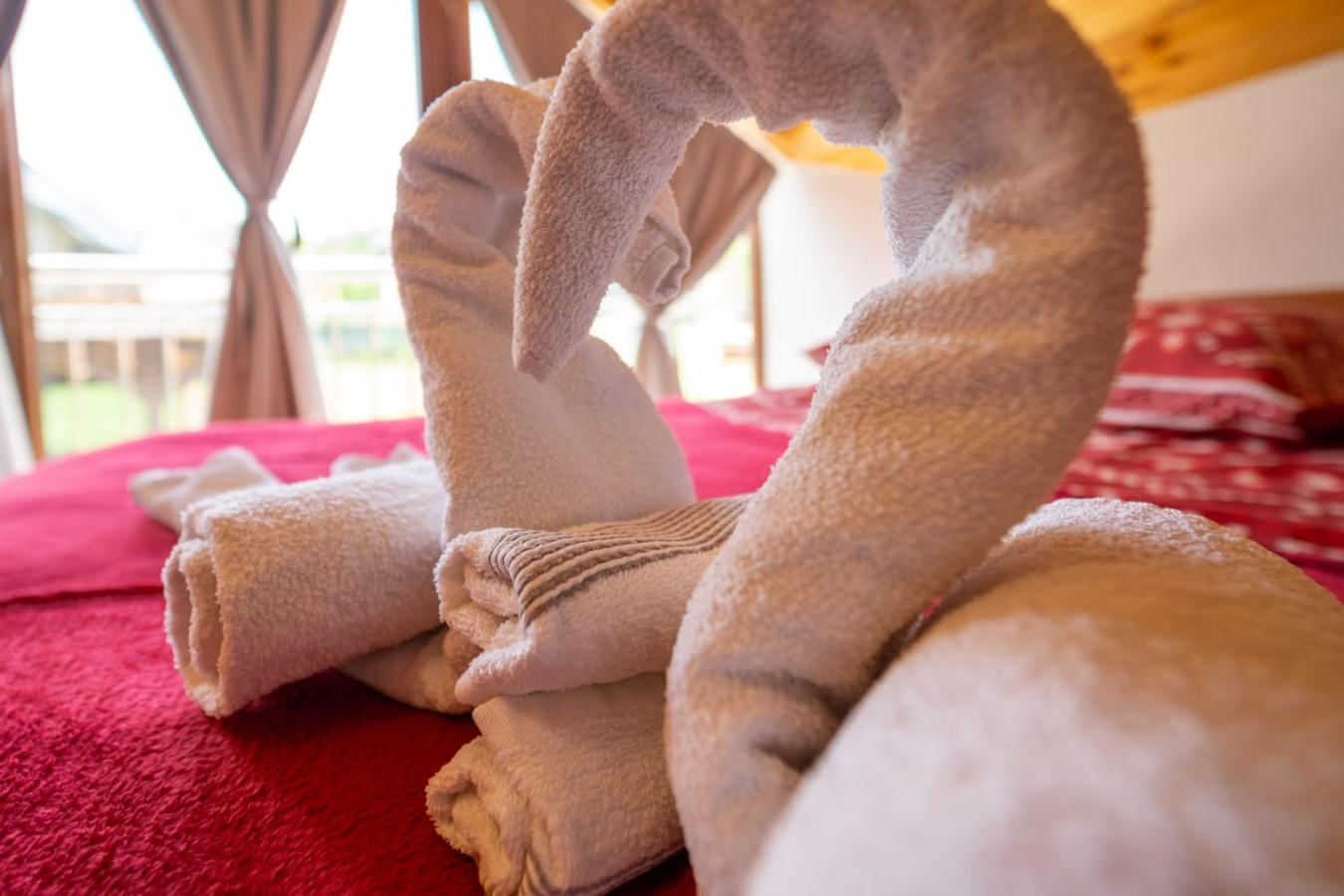 Top Gorski kotar Delnice Top Gorski kotar Delnice