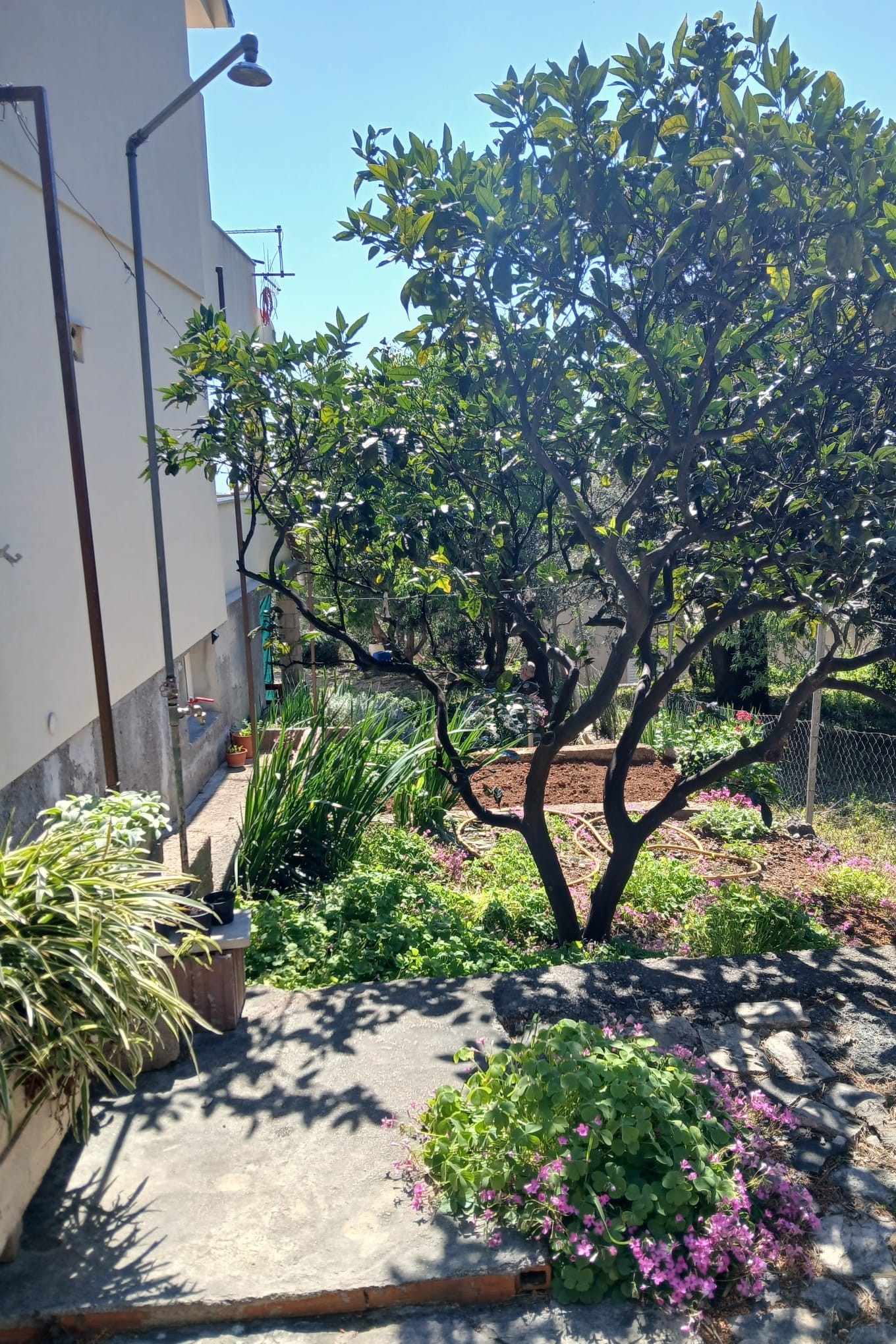 Top Hvar Ivan Dolac Top Hvar Ivan Dolac