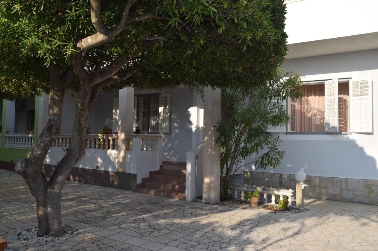 Top Rab Barbat Top Rab Barbat