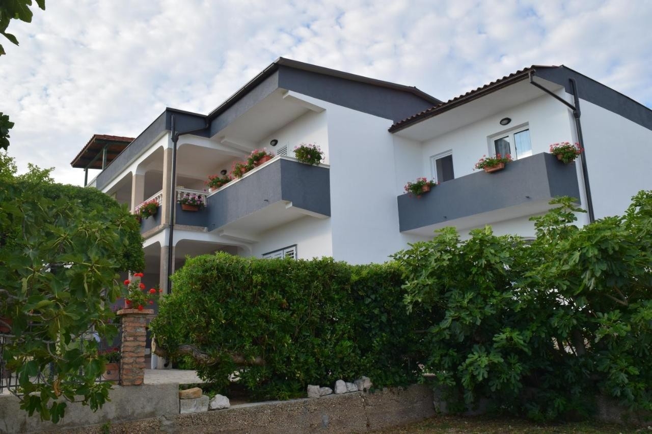 Top Rab Barbat Top Rab Barbat