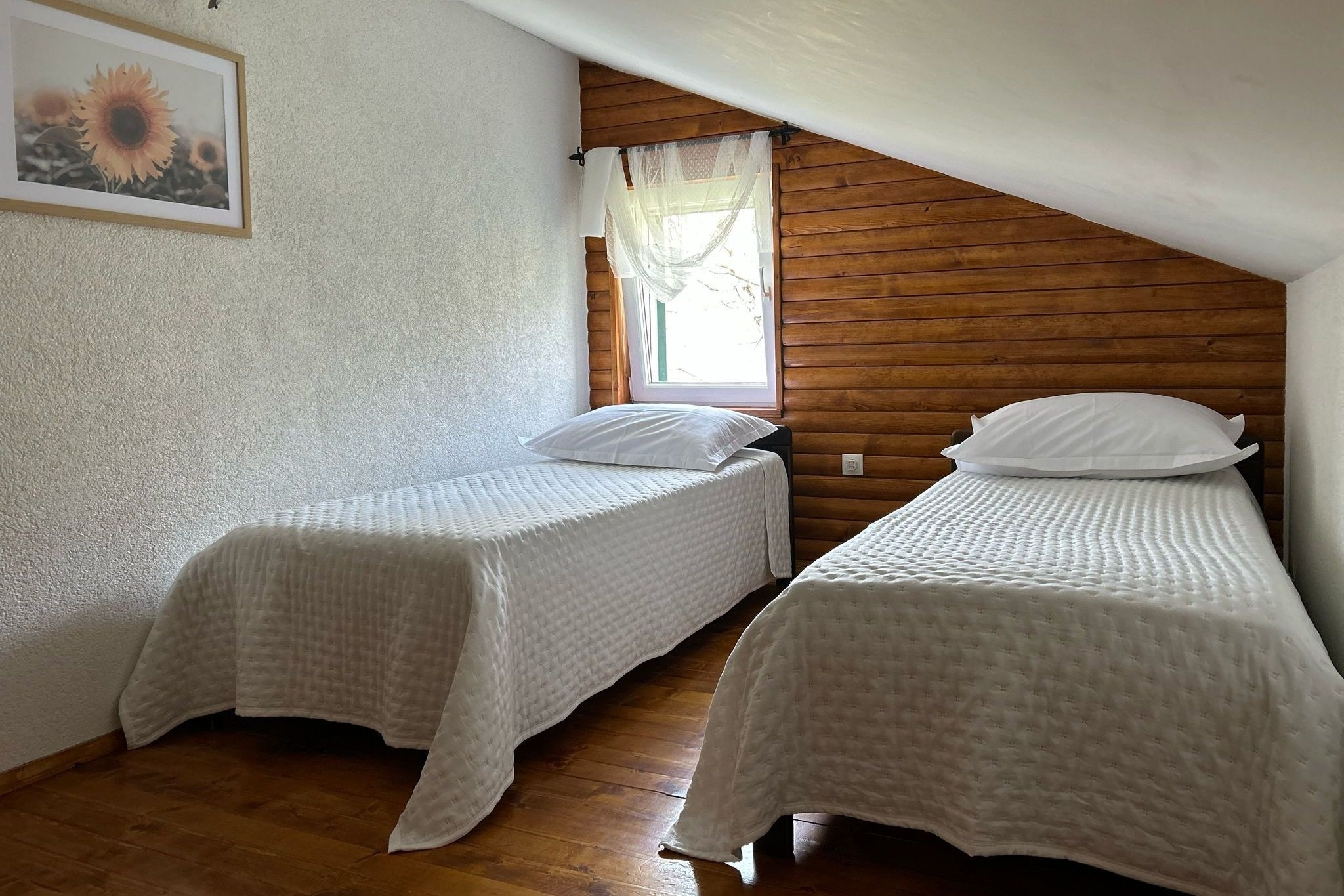 Top Zagora Maovice Top Zagora Maovice