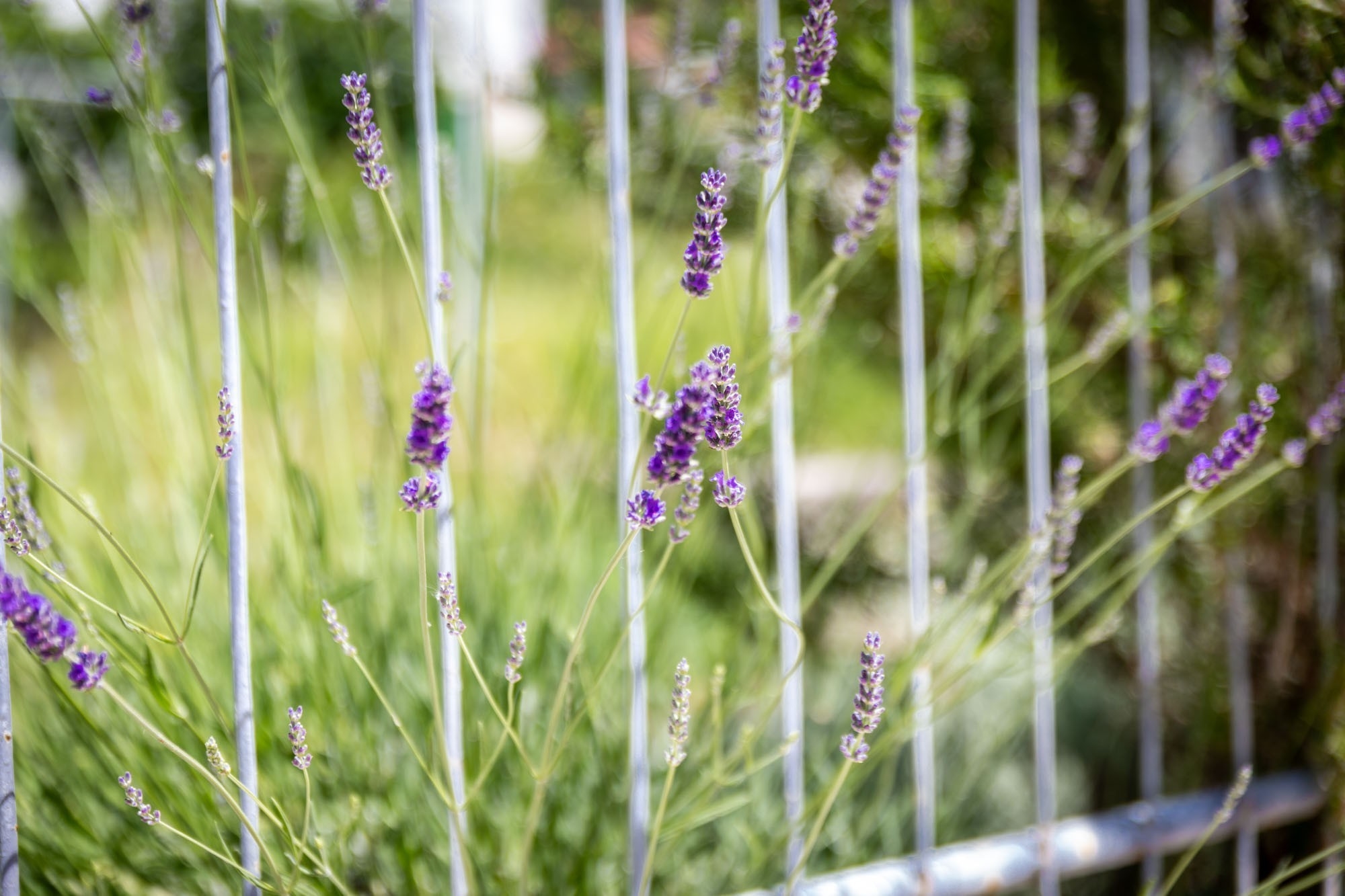 Enosobni apartma S teraso Rab  A-c